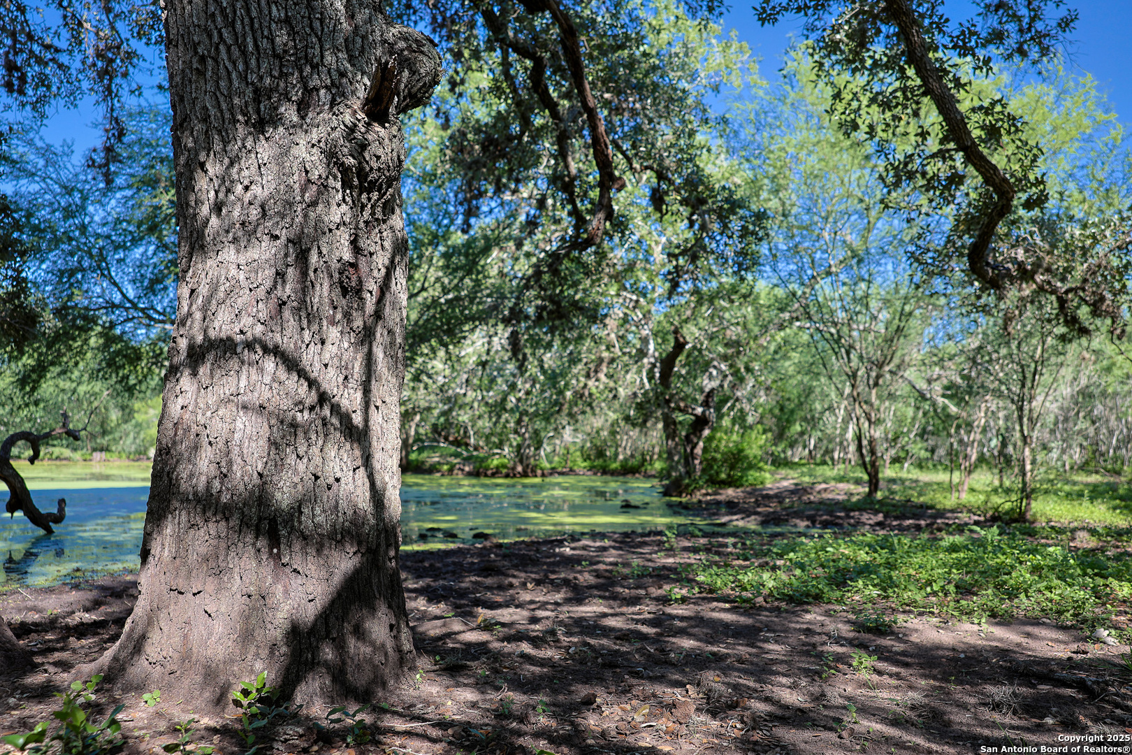0 County Line Road, Unit 120 Beeville, TX 78102 - Photo 44 of 44 a view of outdoor space with deck and yard