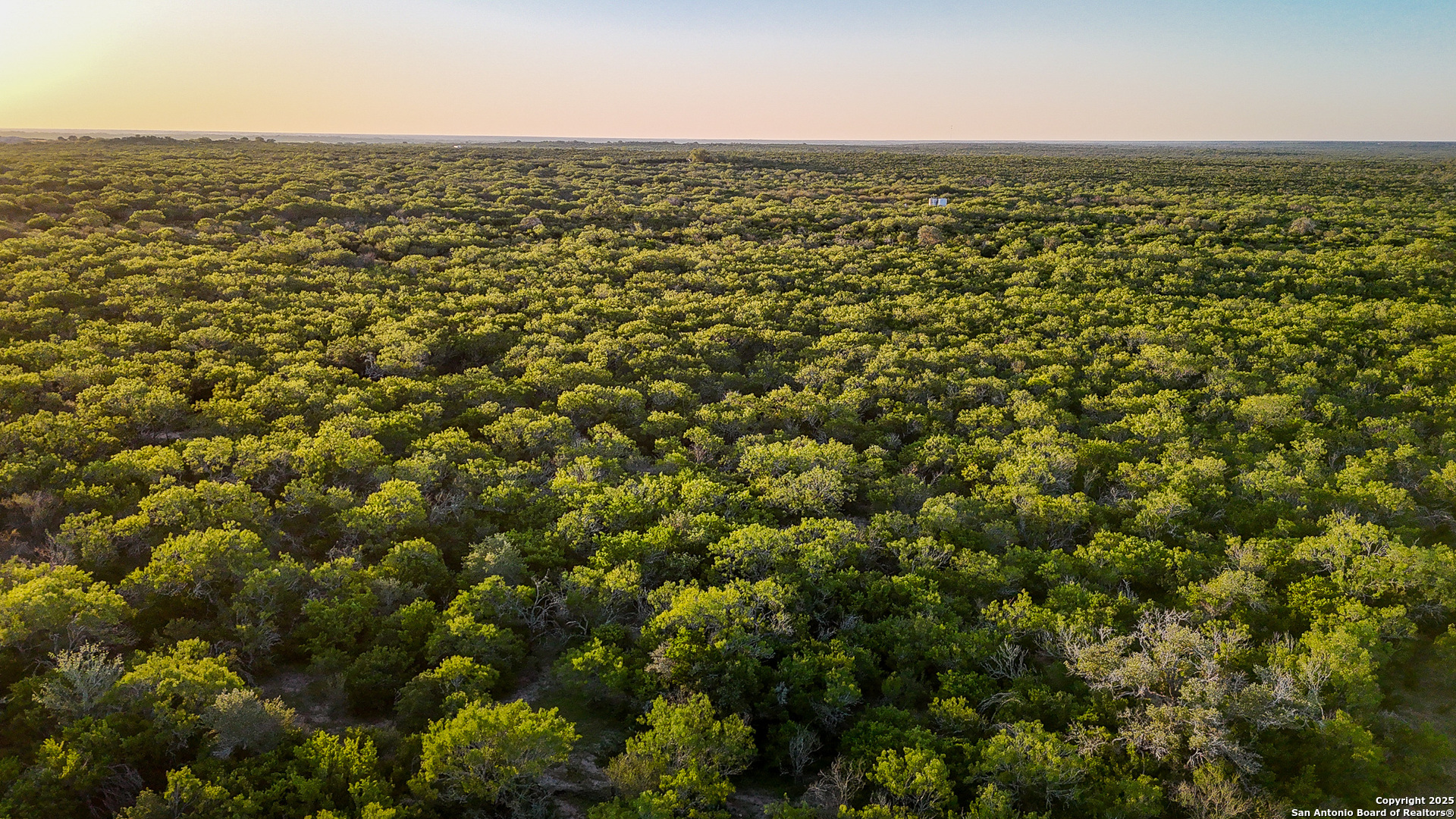 0 County Line Road, Unit 120 Beeville, TX 78102 - Photo 6 of 44 an aerial view of residential houses with outdoor space and trees
