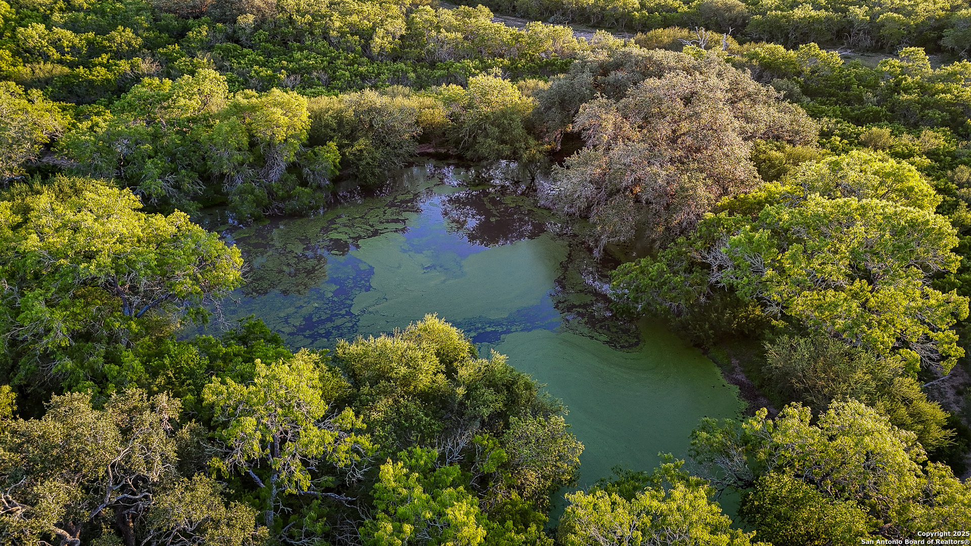0 County Line Road, Unit 120 Beeville, TX 78102 - Photo 7 of 44 an aerial view of residential house with outdoor space and trees all around