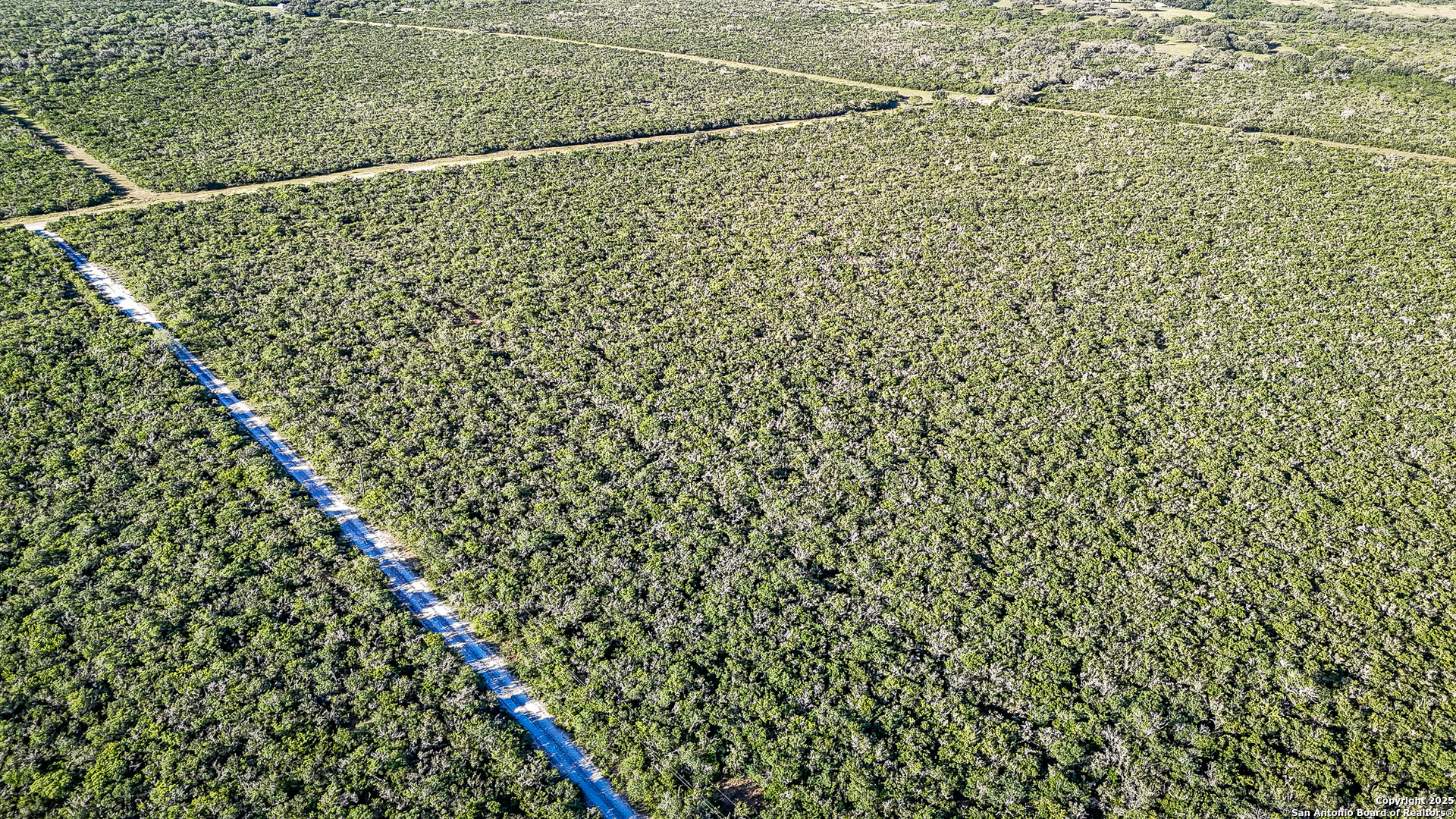 0 County Line Road, Unit 120 Beeville, TX 78102 - Photo 8 of 44 a bathroom with a shower curtain