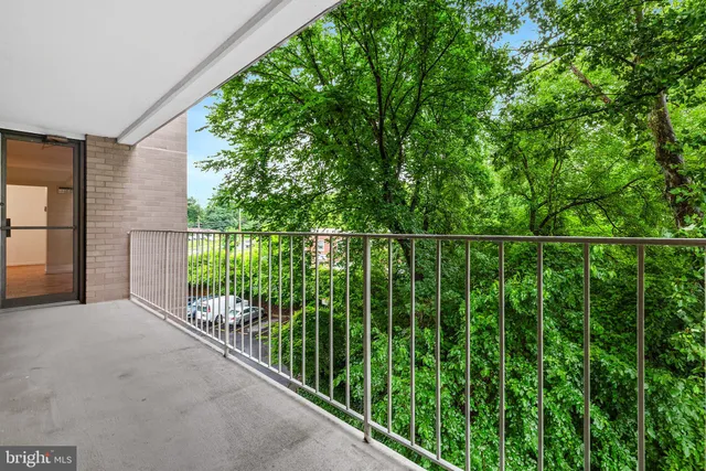 a view of a yard with plants and large trees