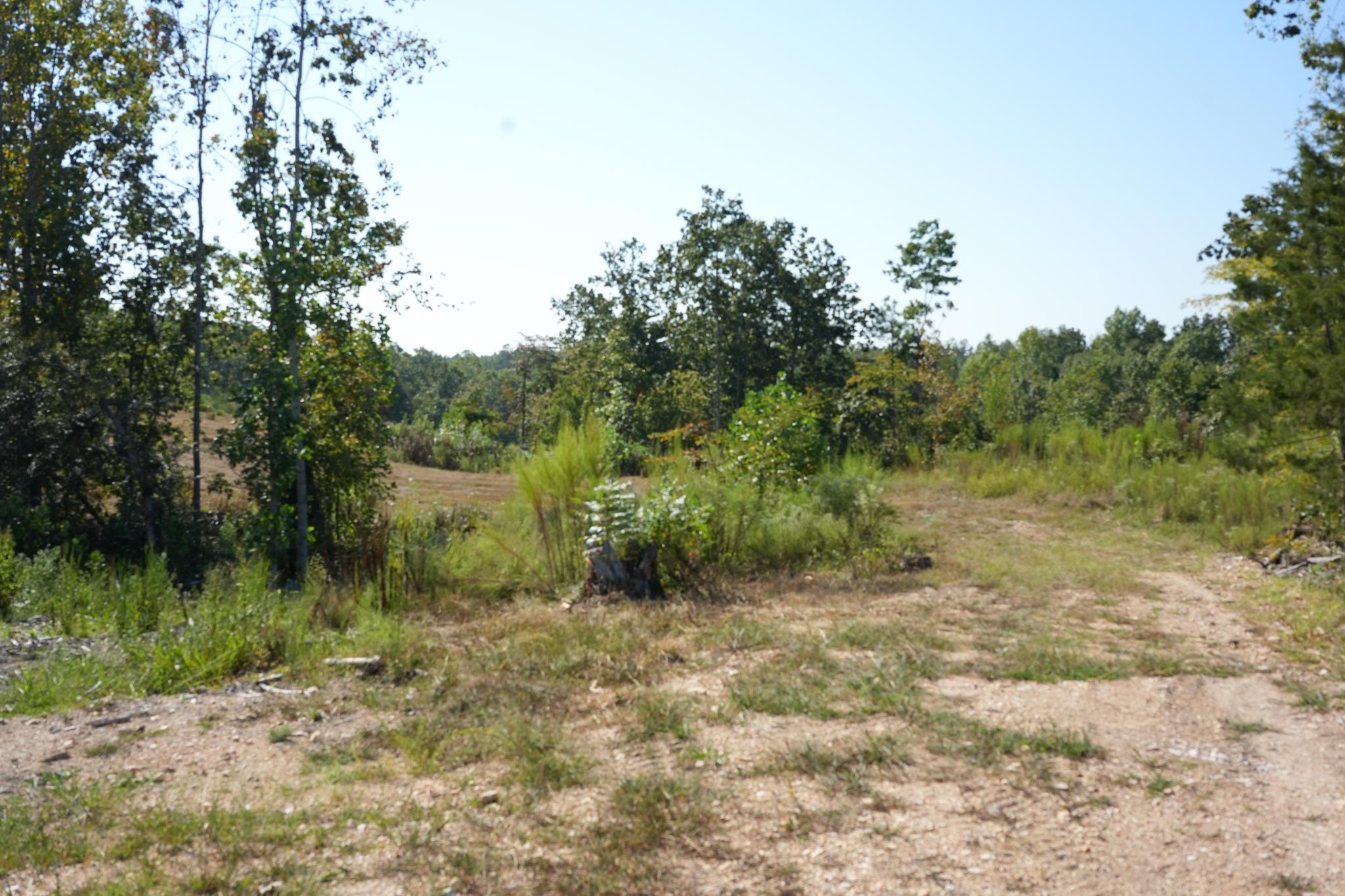 1960 Low Gap Road Sugar Tree, TN 38380 - Photo 26 of 35 Gallery Image 26