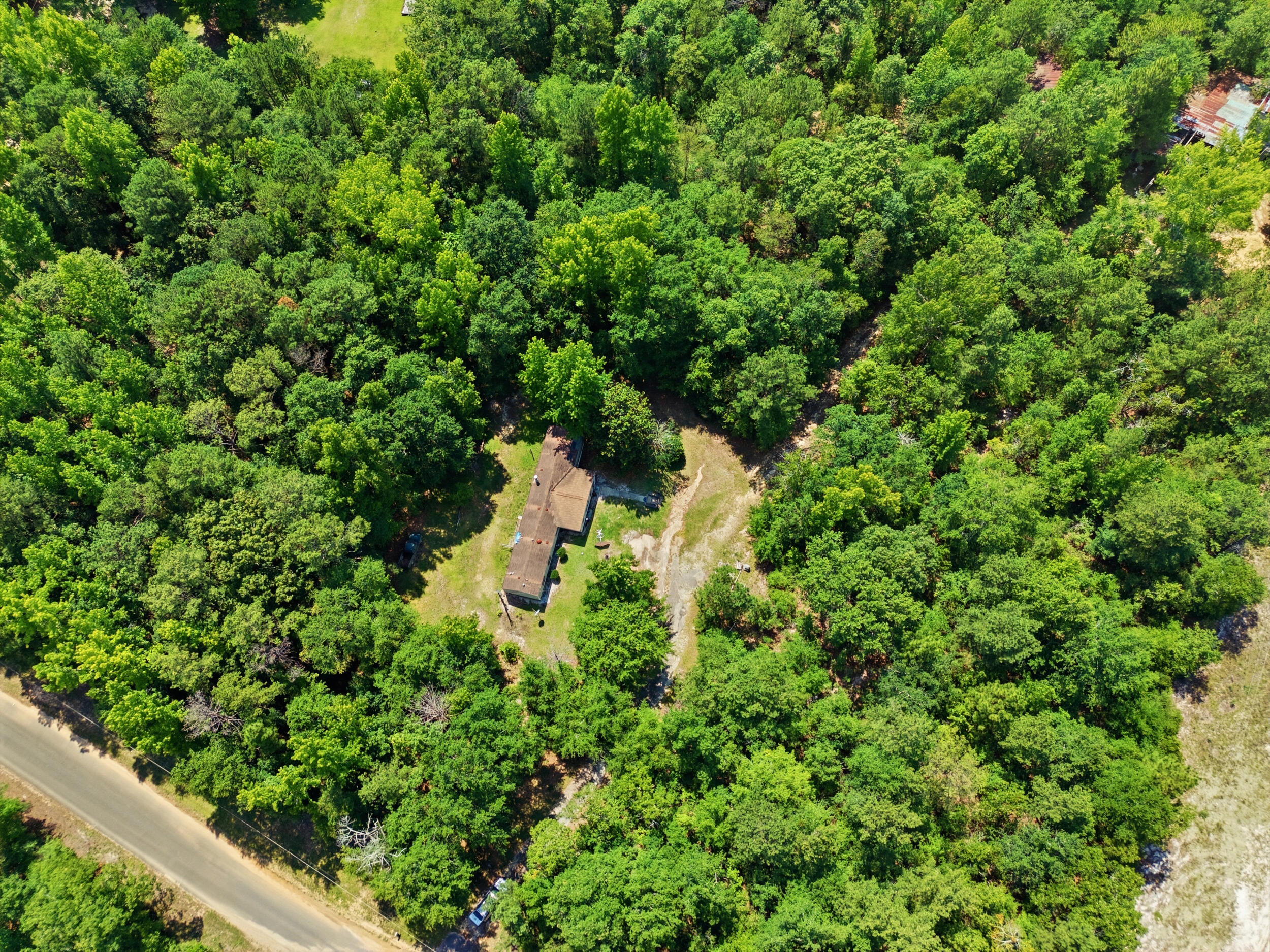 380 Windy Ridge Road Trenton, SC 29847 - Photo 4 of 34