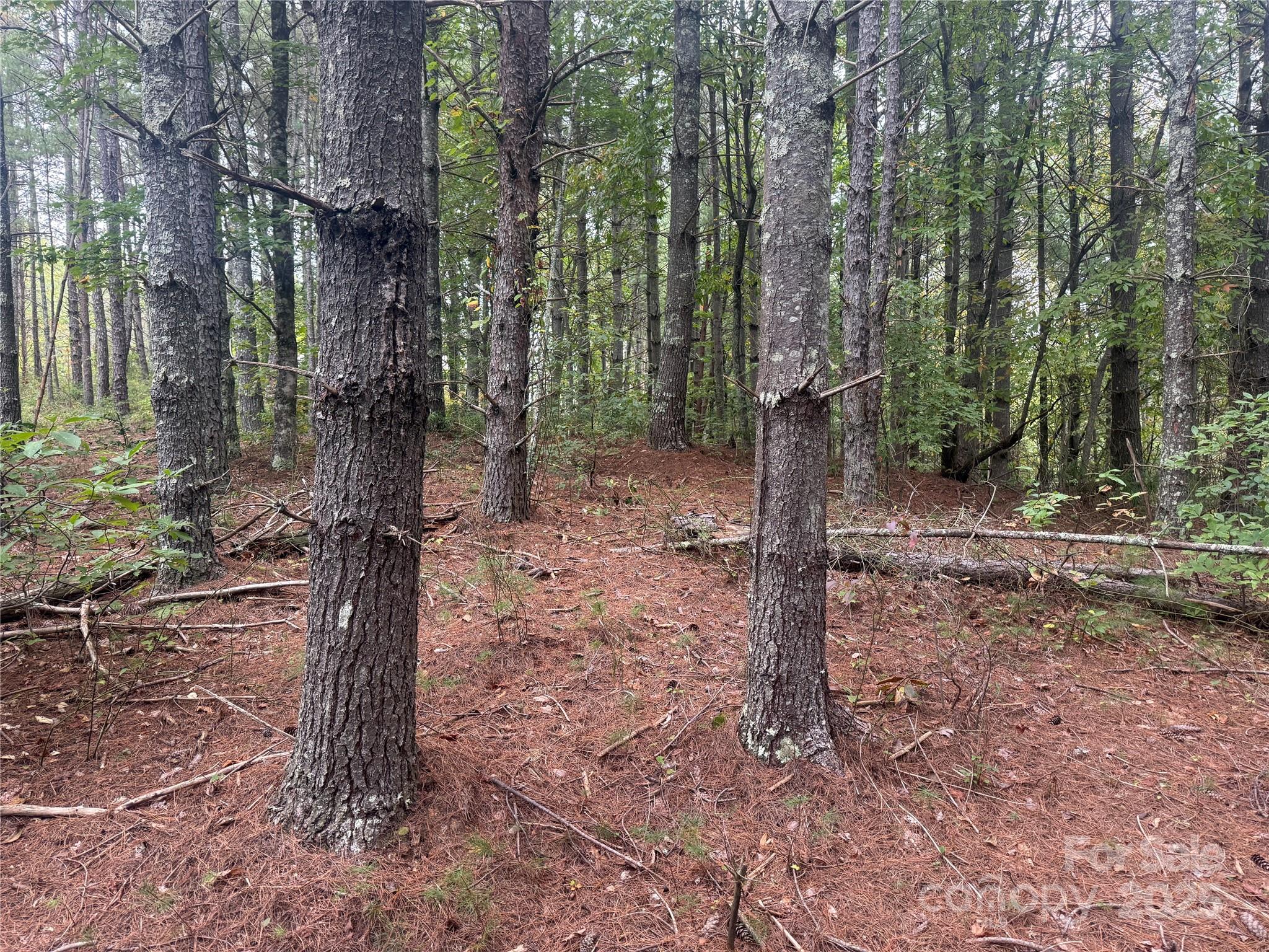 9587 Shortoff View Terrace, Unit 57 Nebo, NC 28761 - Photo 4 of 16