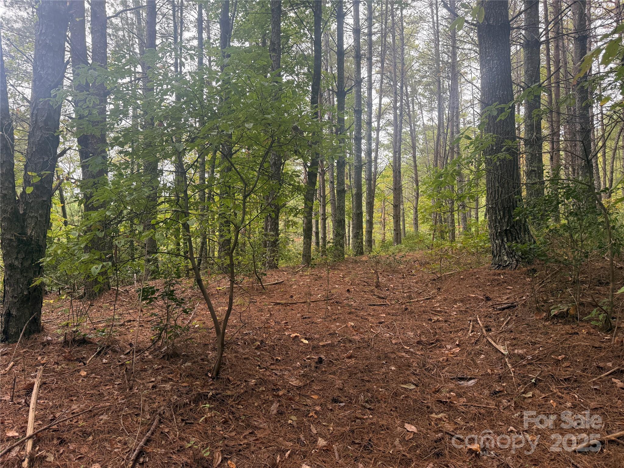 9587 Shortoff View Terrace, Unit 57 Nebo, NC 28761 - Photo 7 of 16 a view of outdoor space and trees