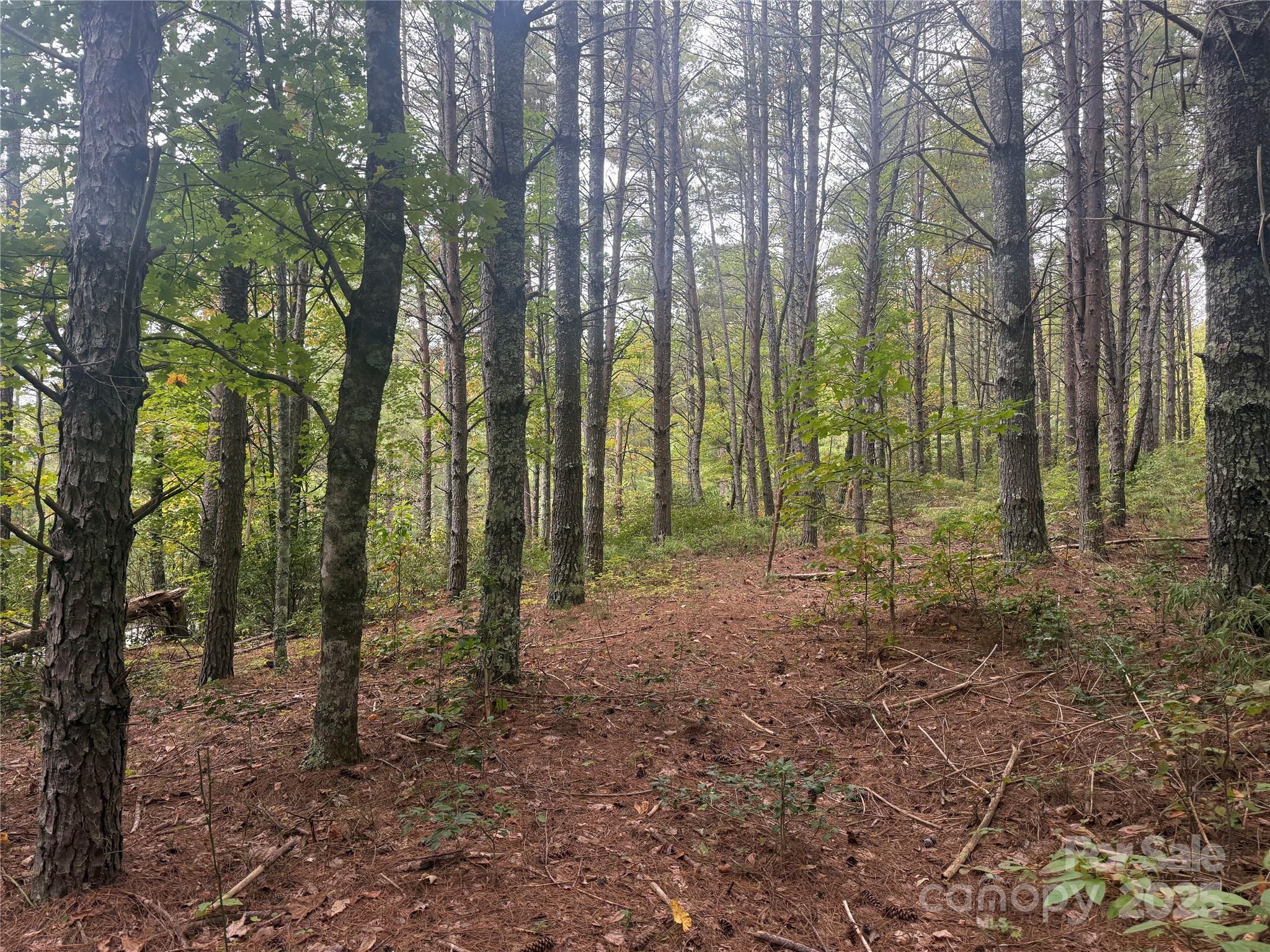 9587 Shortoff View Terrace, Unit 57 Nebo, NC 28761 - Photo 8 of 16 a view of outdoor space and green space