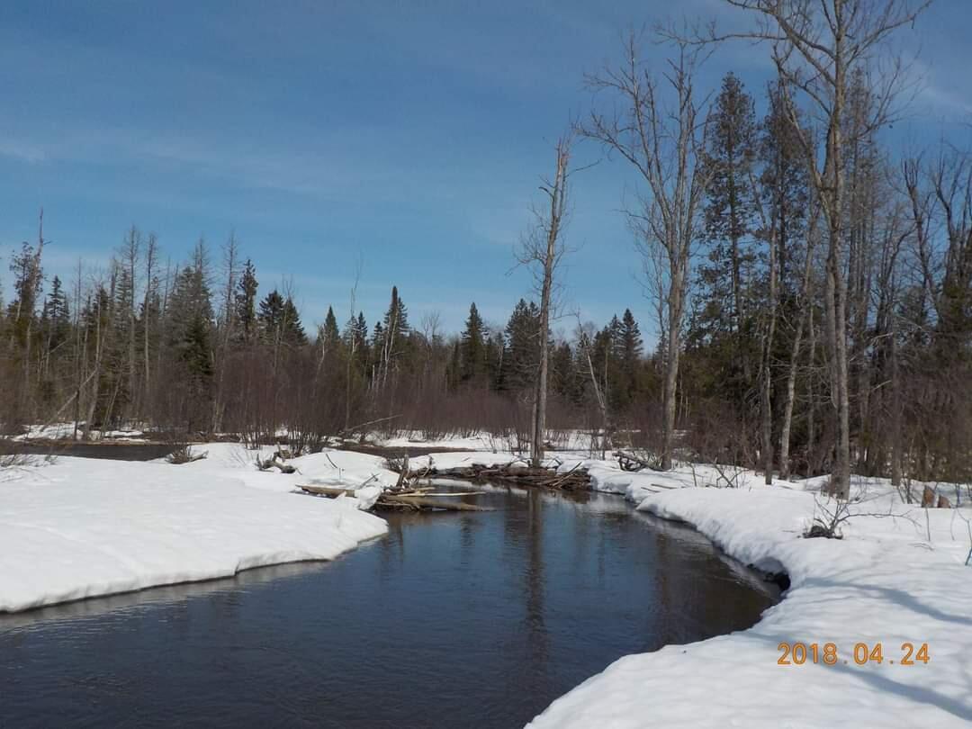 405 New Dunn Town Road Washburn, ME 04786 - Photo 6 of 51 FB_IMG_1689522500053