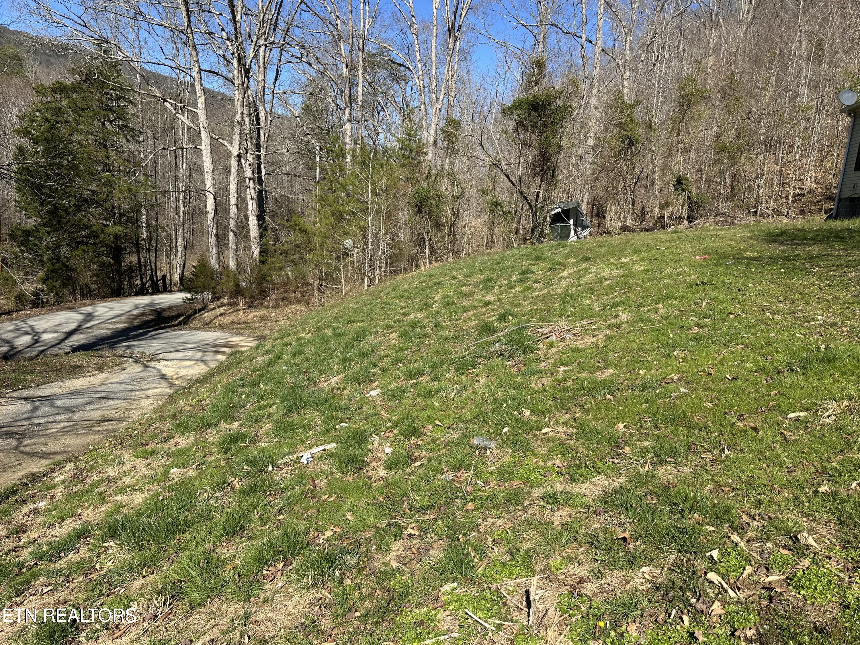 6745 Poor Valley Road Rutledge, TN 37861 - Photo 8 of 11 IMG_8971 2