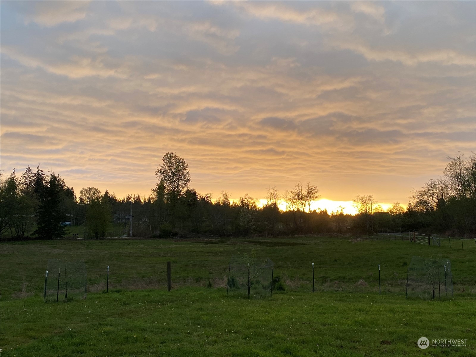 22851 Bulson Road Mount Vernon, WA 98274 - Photo 34 of 37 Gallery Image 34