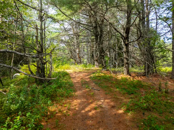 $895,000 | 185 Old Us Rt 1 Rt 1, Unit RT, Jonesboro, ME 04648