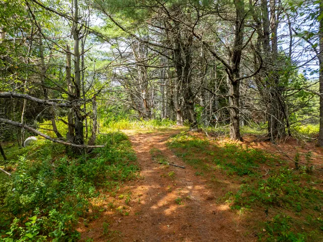 $895,000 | 185 Old Us Rt 1 Rt 1, Unit RT, Jonesboro, ME 04648