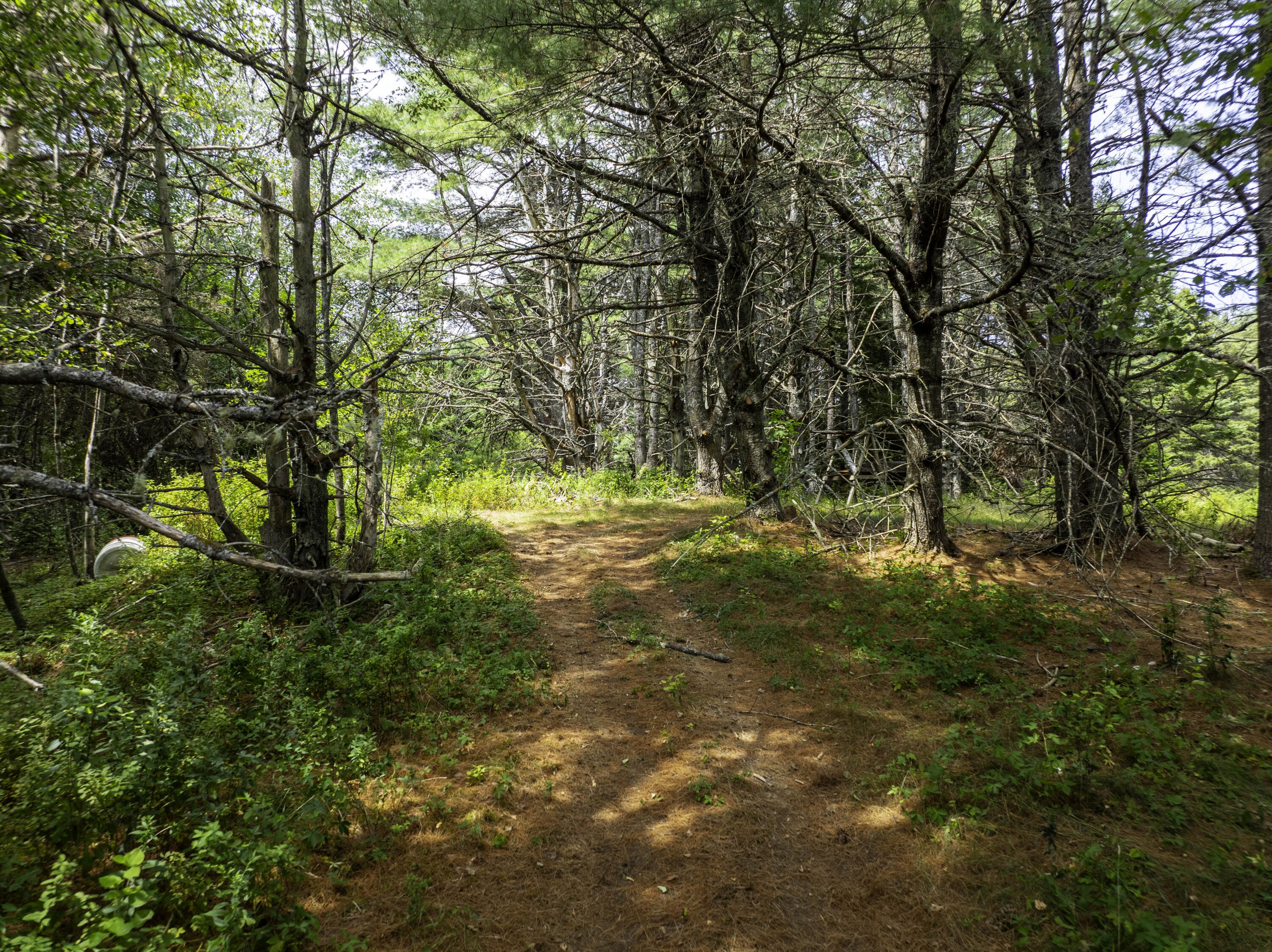 185 Old Us Rt 1 Rt 1, Unit RT Jonesboro, ME 04648 - Photo 38 of 38 Hall Homestead 38