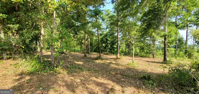 a view of a yard with trees
