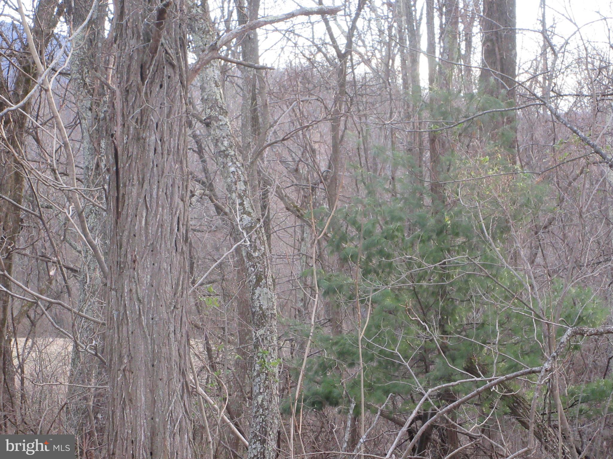 Lot 2a2 Lot 2a2 Smith Run Road Bentonville, VA 22610 - Photo 1 of 4 The lot is wooded