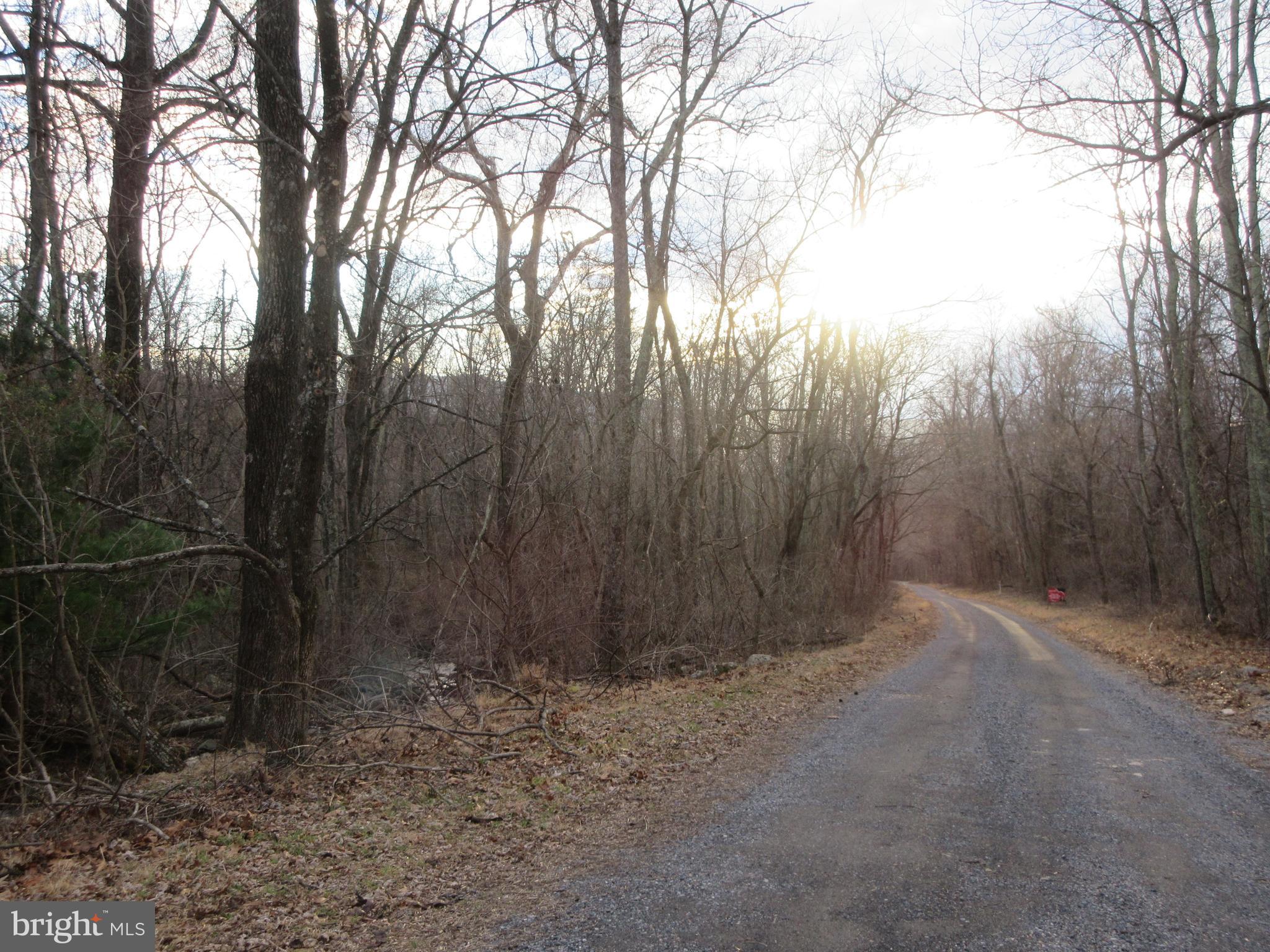 Lot 2a2 Lot 2a2 Smith Run Road Bentonville, VA 22610 - Photo 2 of 4 Lot on the left on Smith Run Rd