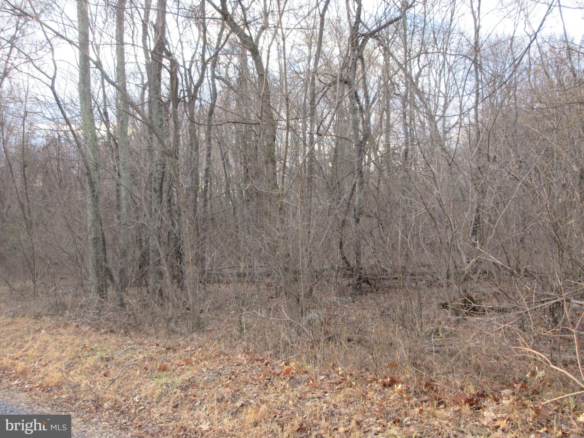 Lot 2a2 Lot 2a2 Smith Run Road Bentonville, VA 22610 - Photo 4 of 4 Lot where it fronts on the road
