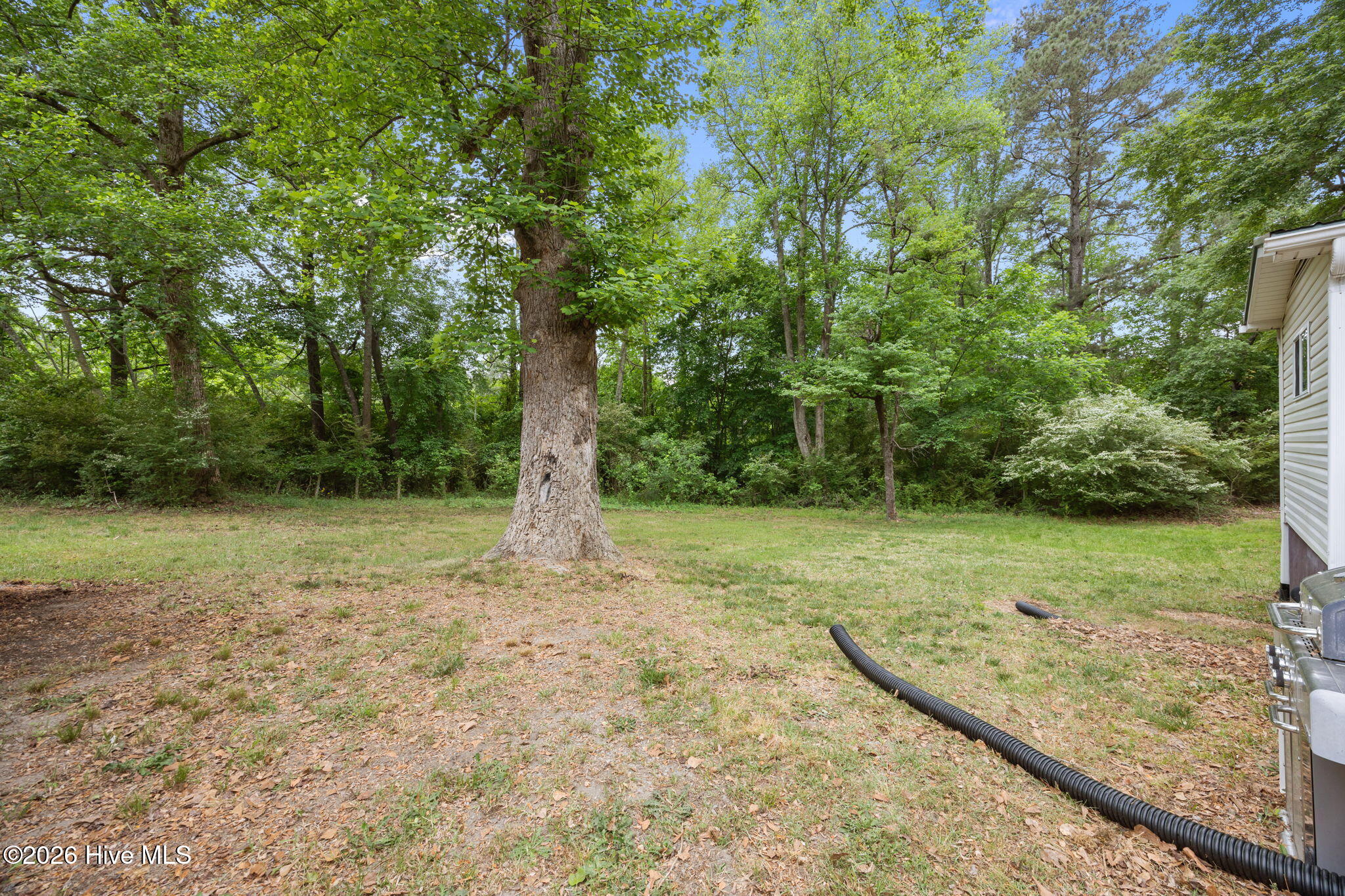 4904 Vass-Carthage Road Carthage, NC 28327 - Photo 38 of 44 45-web-or-mls-IMG_0261