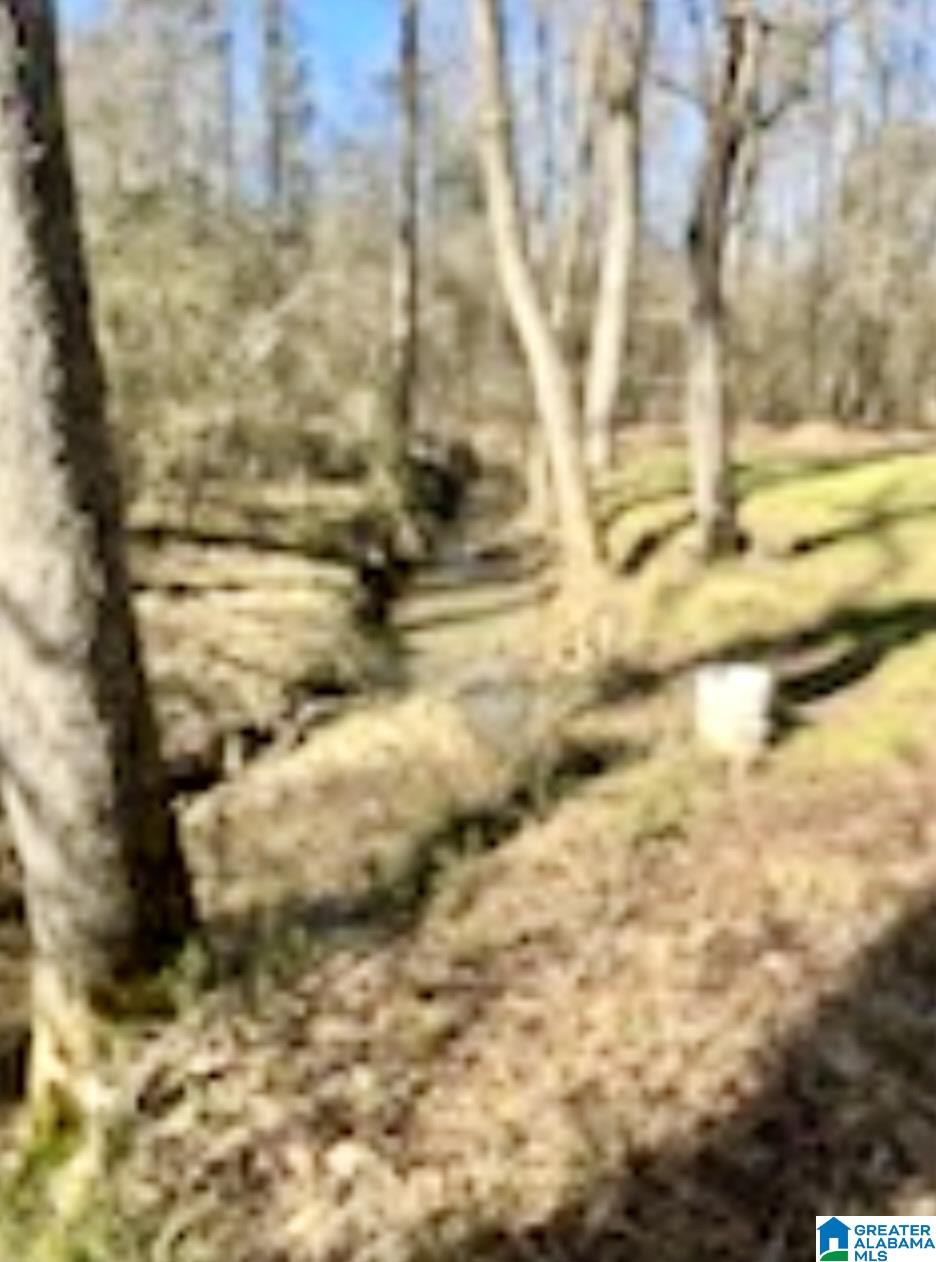 282 Evans Circle Jasper, AL 35501 - Photo 21 of 26