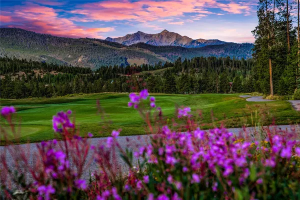 a view of a flower sitting in a garden