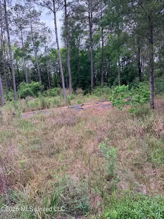 $147,000 | Kenneth Cole Road, Vancleave, MS 39565