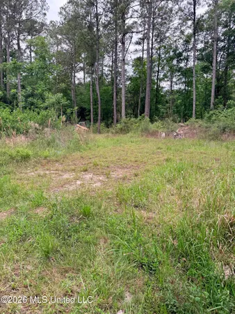 $147,000 | Kenneth Cole Road, Vancleave, MS 39565
