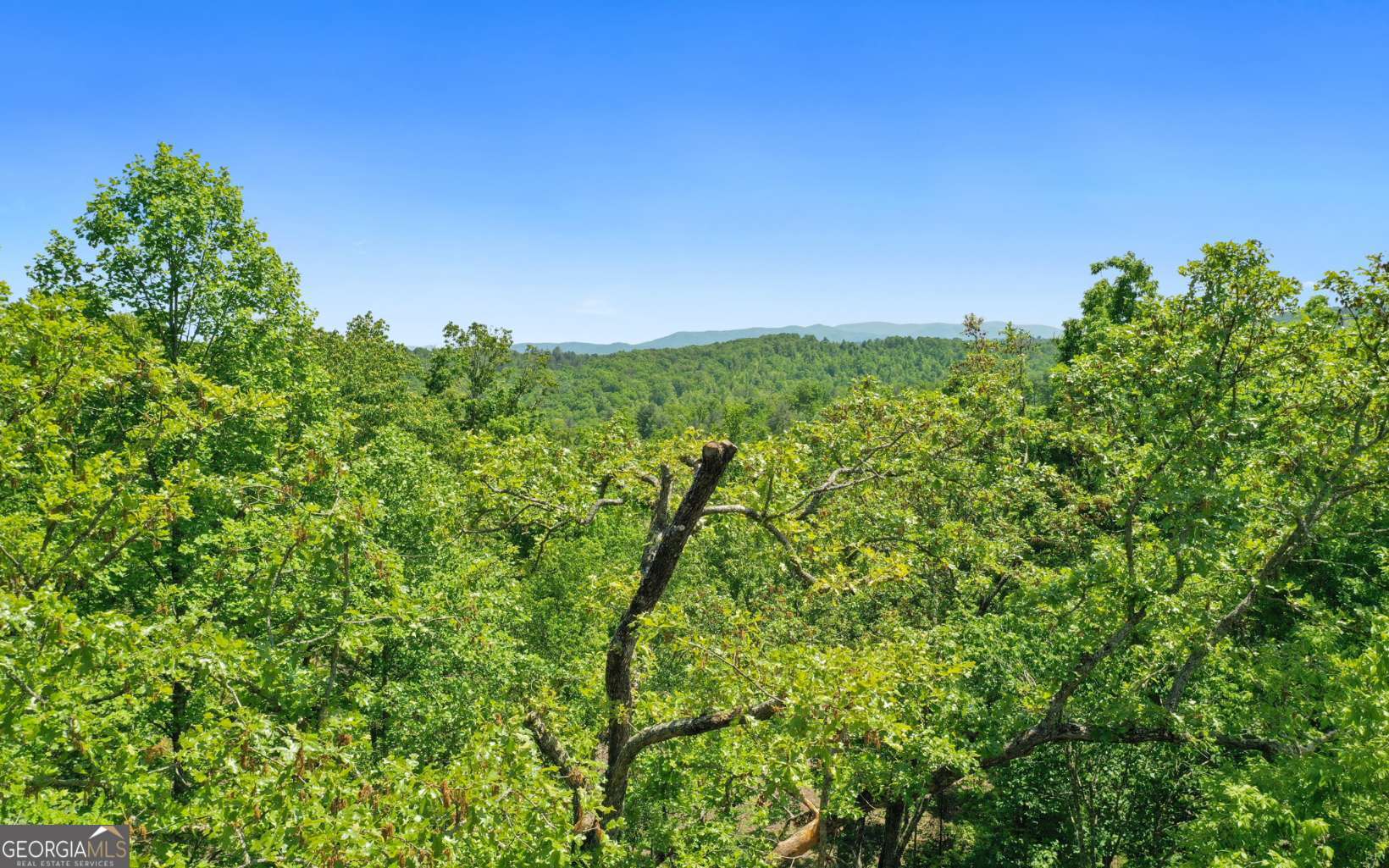 Lt27-28b Haven Way Blue Ridge, GA 30513 - Photo 11 of 20
