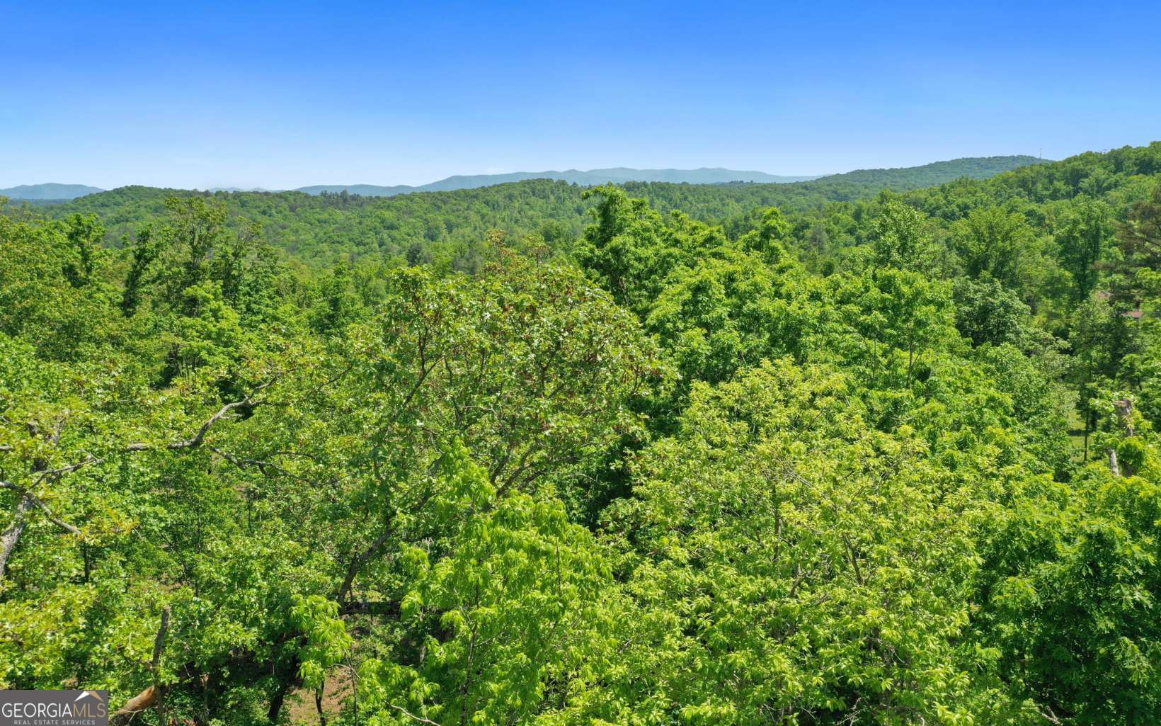 Lt27-28b Haven Way Blue Ridge, GA 30513 - Photo 12 of 20