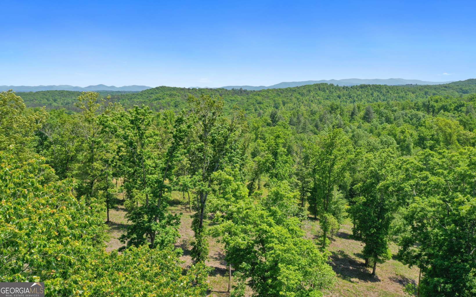 Lt27-28b Haven Way Blue Ridge, GA 30513 - Photo 16 of 20