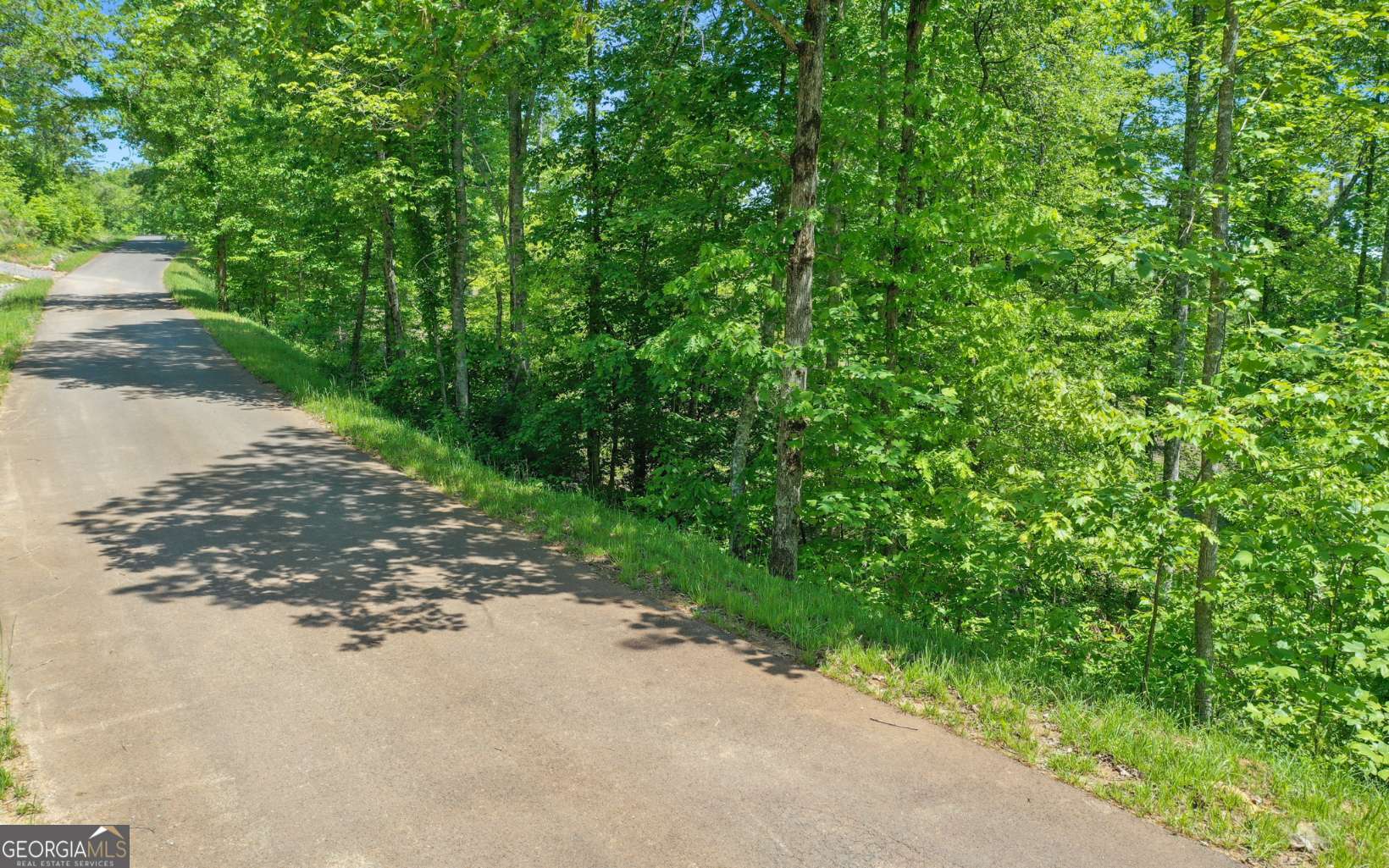 Lt27-28b Haven Way Blue Ridge, GA 30513 - Photo 17 of 20