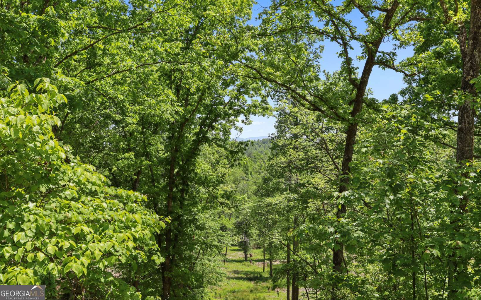 Lt27-28b Haven Way Blue Ridge, GA 30513 - Photo 18 of 20