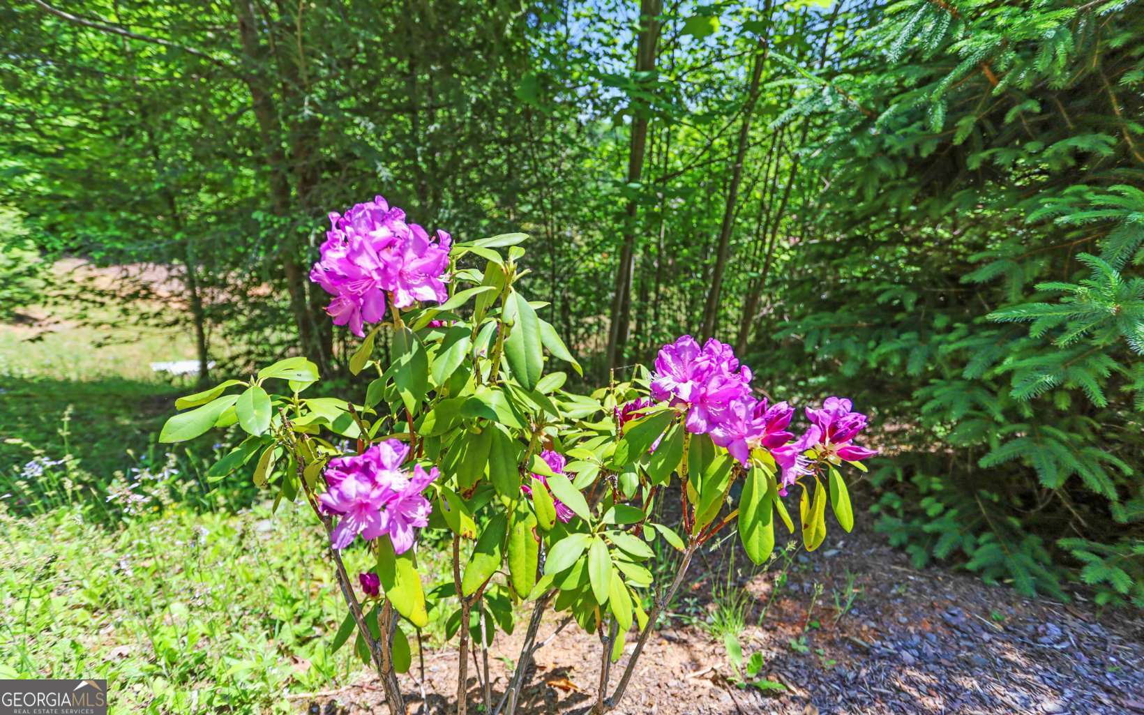 Lt27-28b Haven Way Blue Ridge, GA 30513 - Photo 20 of 20