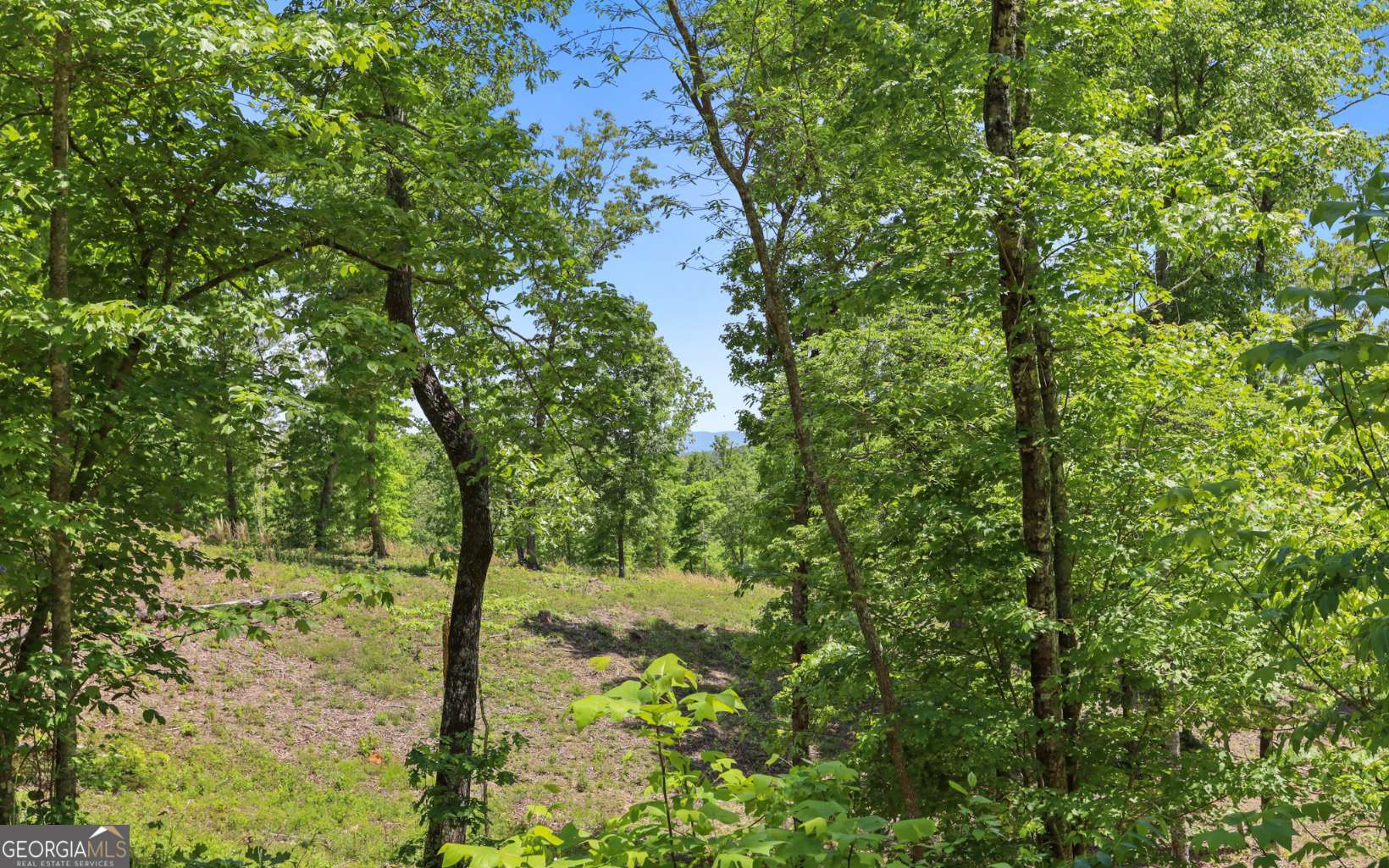 Lt27-28b Haven Way Blue Ridge, GA 30513 - Photo 5 of 20