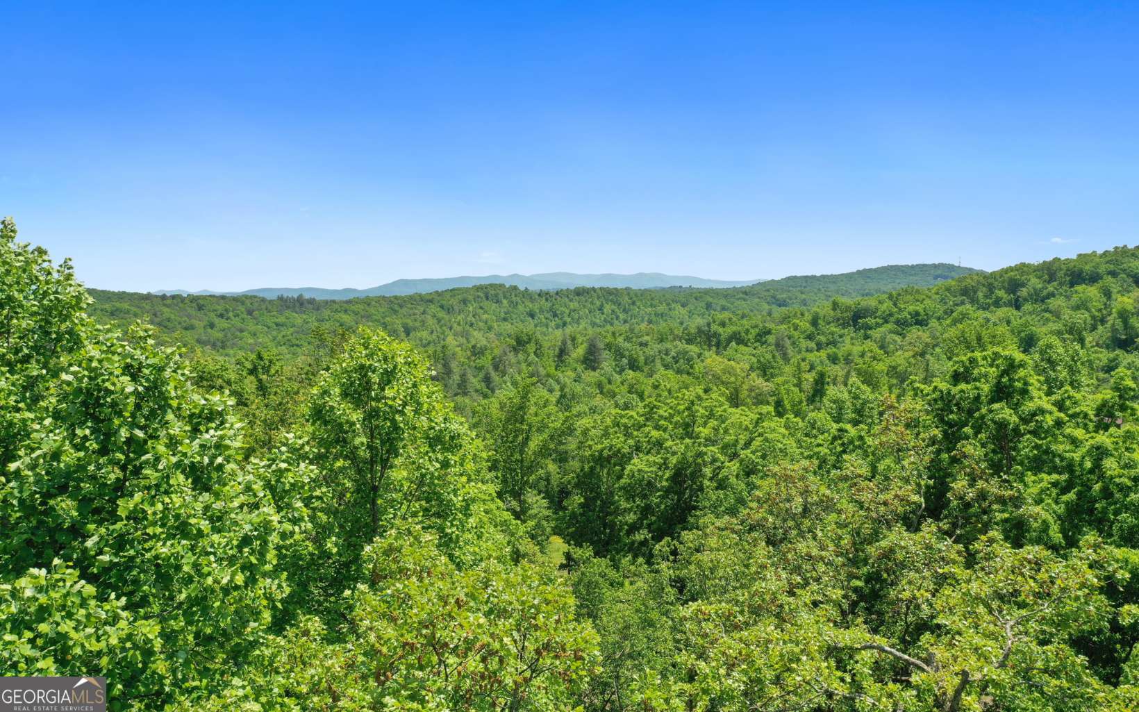 Lt27-28b Haven Way Blue Ridge, GA 30513 - Photo 10 of 20