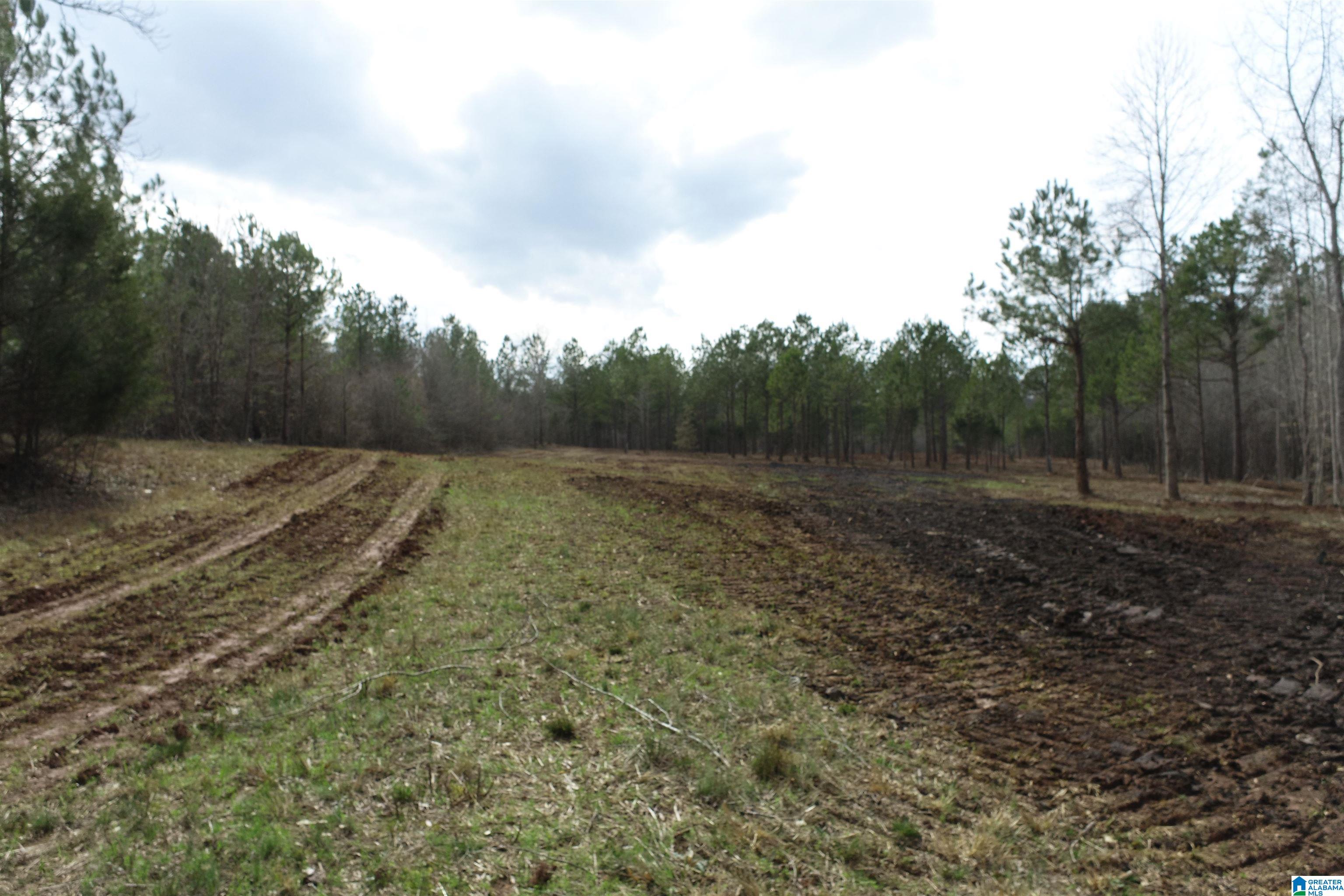 0 County Road 158, Unit 1 Lafayette, AL 36862 - Photo 5 of 19
