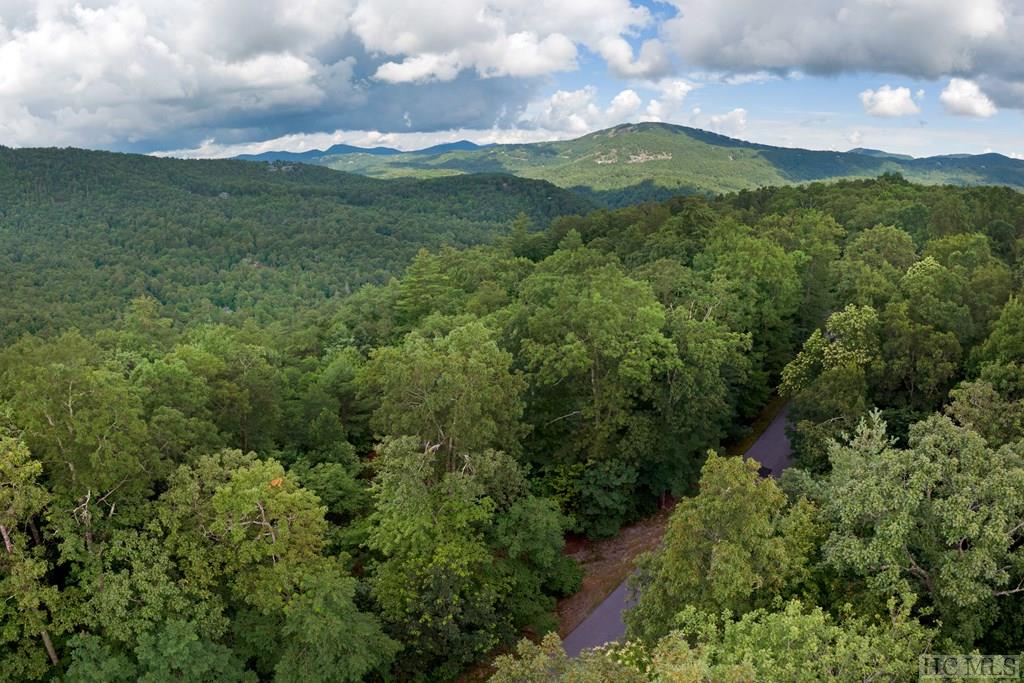 Lot 21 East Ridge Road Cashiers, NC 28717 - Photo 6 of 14 Gallery Image 6