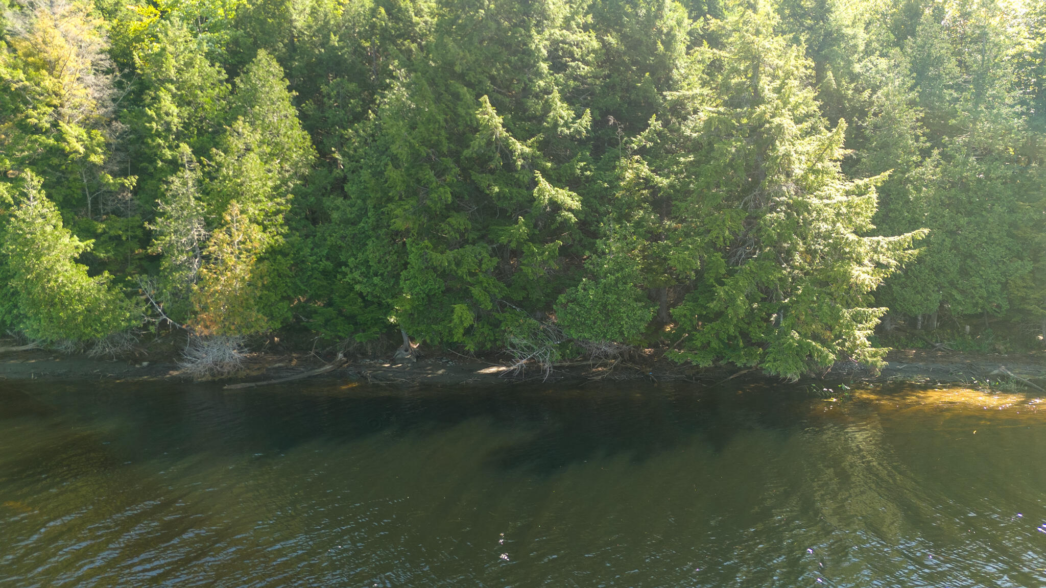 L4-m7 L4-m7 Off Of Carver Road Milo, ME 04463 - Photo 20 of 24