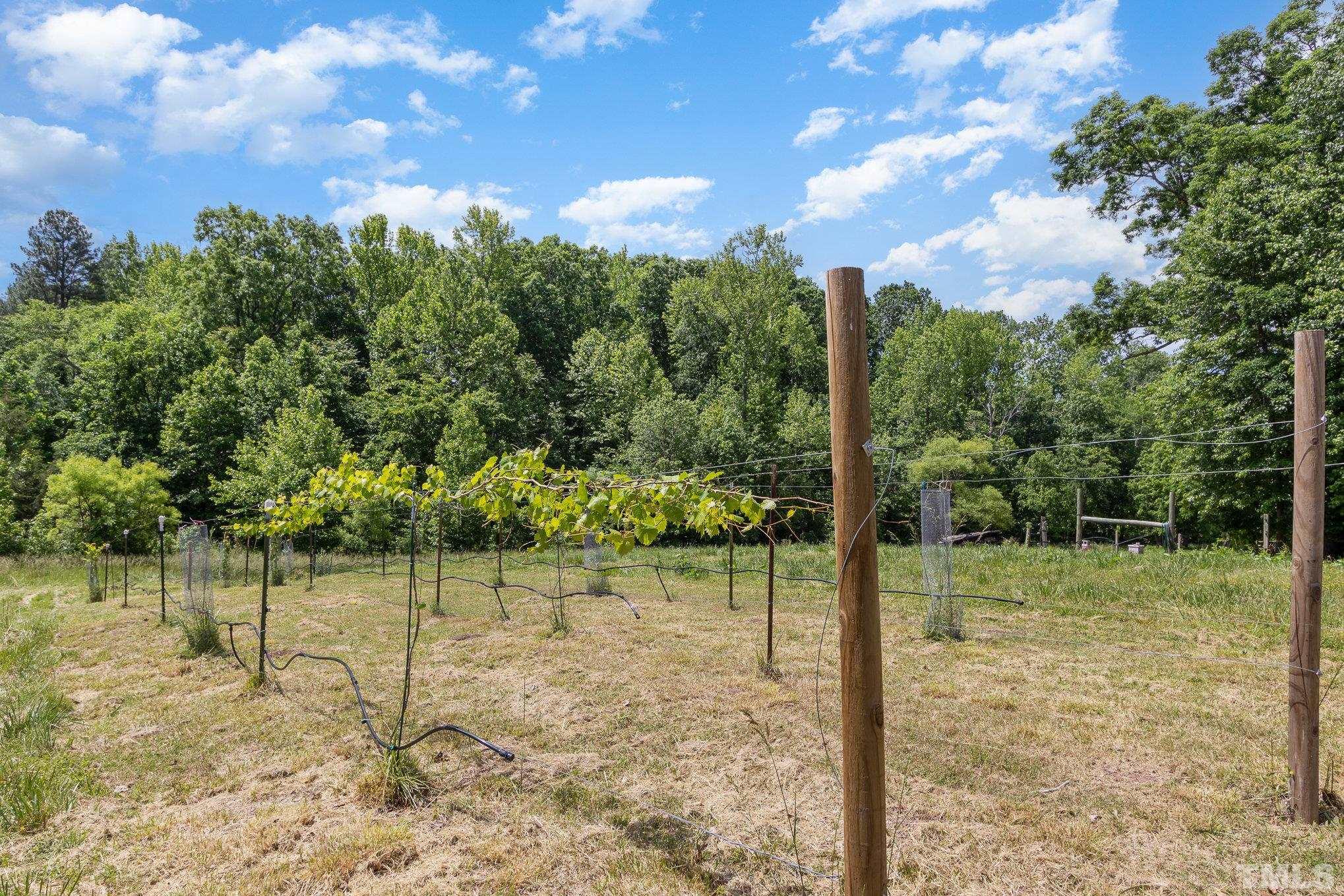 10611 Rougemont Road Bahama, NC 27503 - Photo 33 of 66 Gallery Image 33