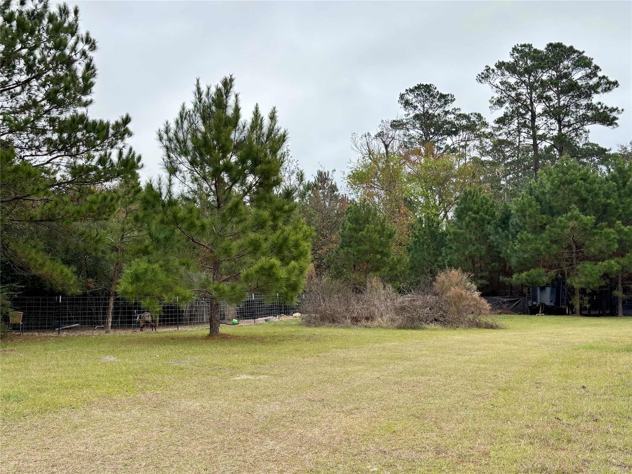 707 Bill Rasbeary Road Groveton, TX 75845 - Photo 11 of 48 a view of a swimming pool and trees in the background