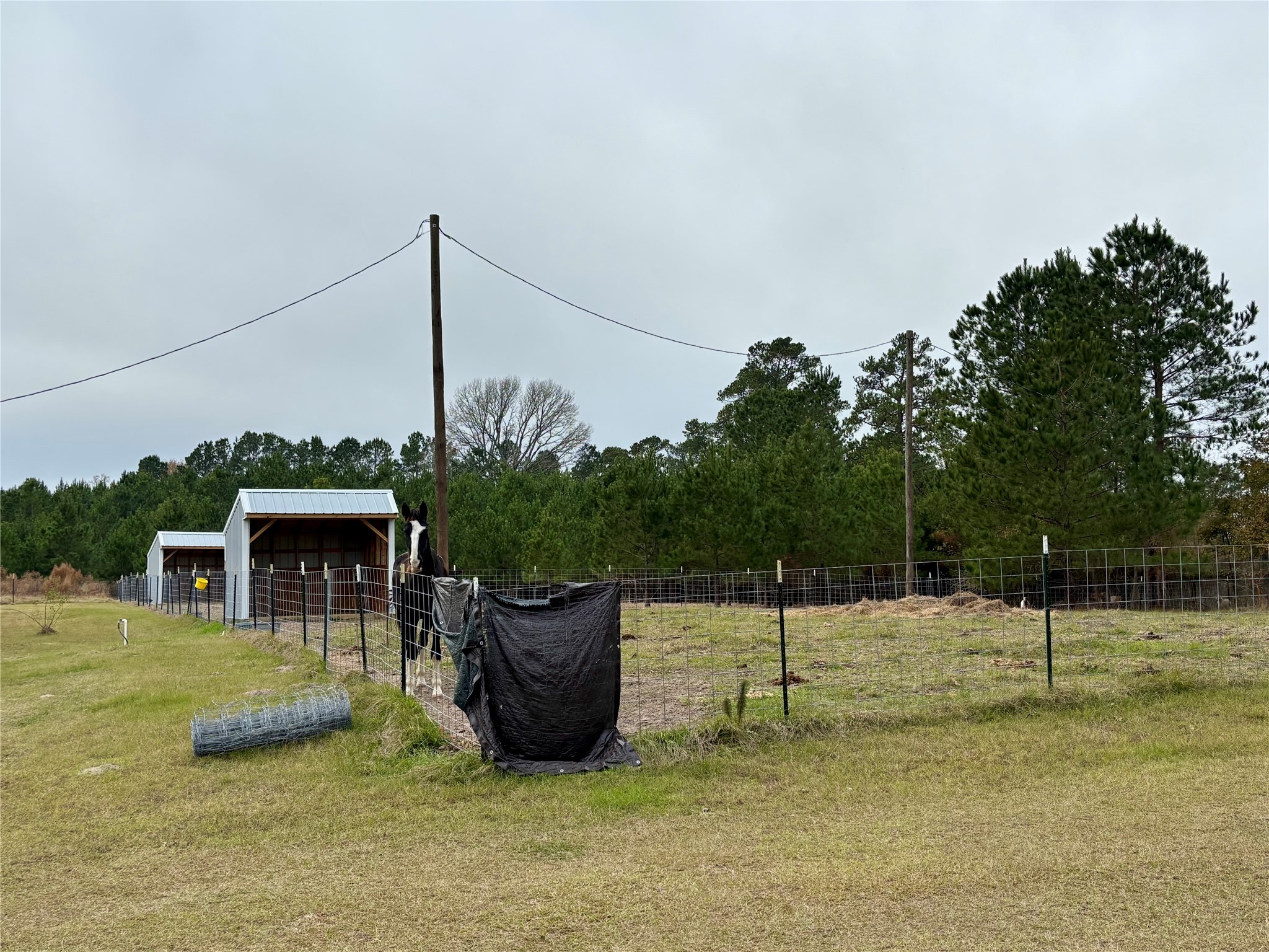 707 Bill Rasbeary Road Groveton, TX 75845 - Photo 14 of 48 a swimming pool with a yard