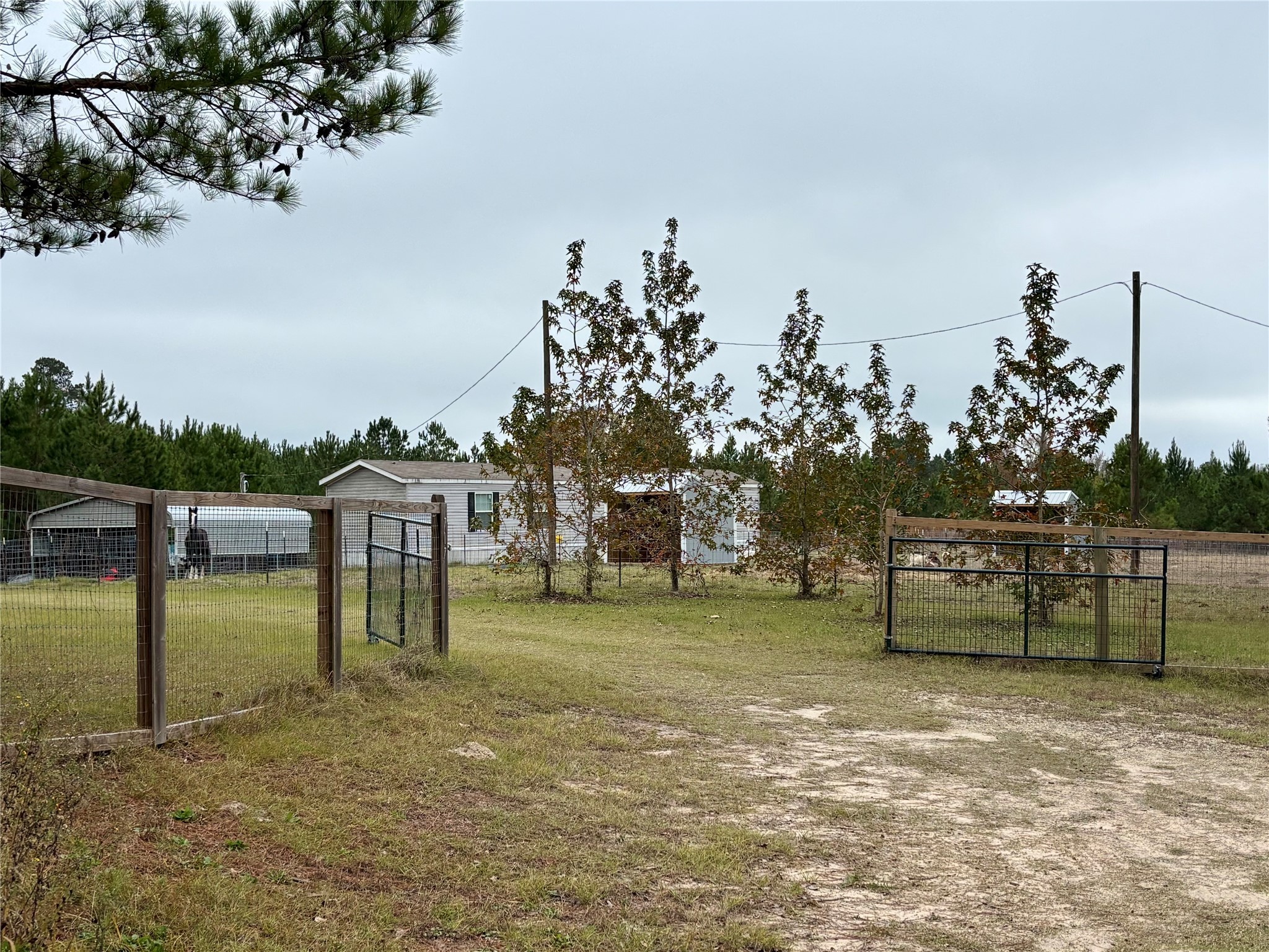 707 Bill Rasbeary Road Groveton, TX 75845 - Photo 2 of 48 a view of a house with a yard