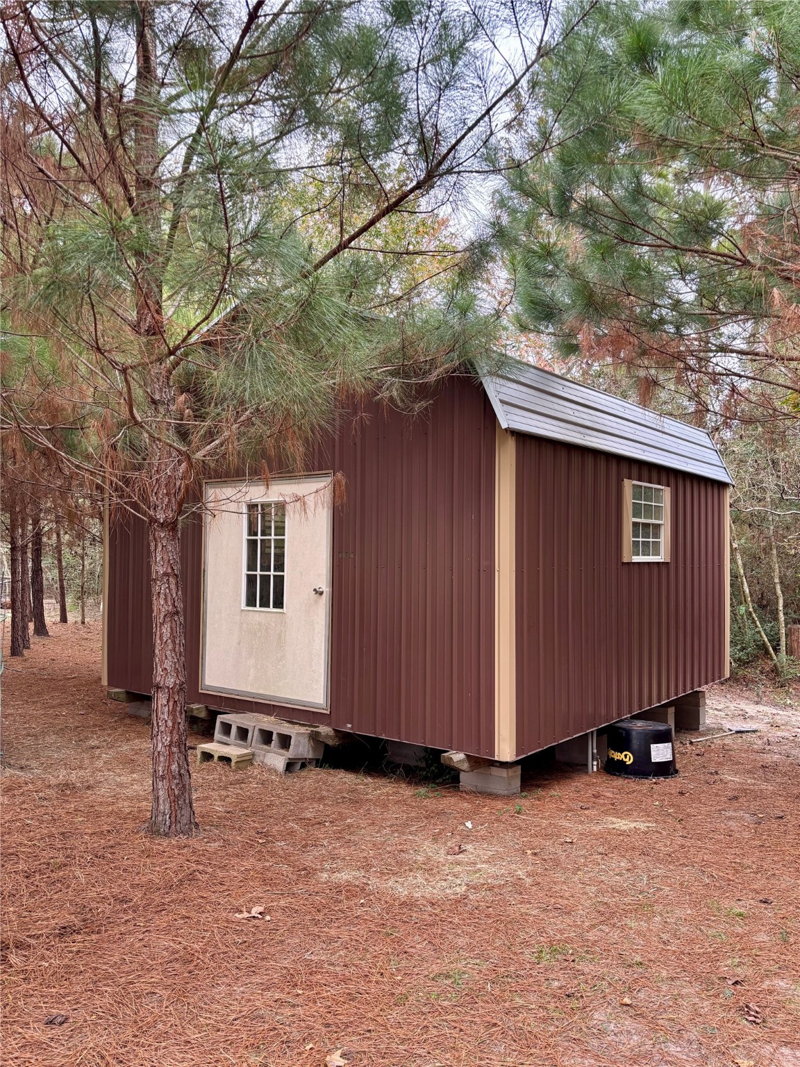707 Bill Rasbeary Road Groveton, TX 75845 - Photo 21 of 48 a backyard of a house with large trees and wooden fence