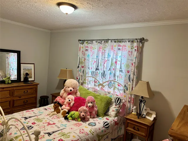 a view of a yard with street