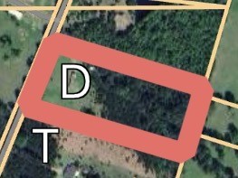 707 Bill Rasbeary Road Groveton, TX 75845 - Photo 42 of 48 a view of a yard with street