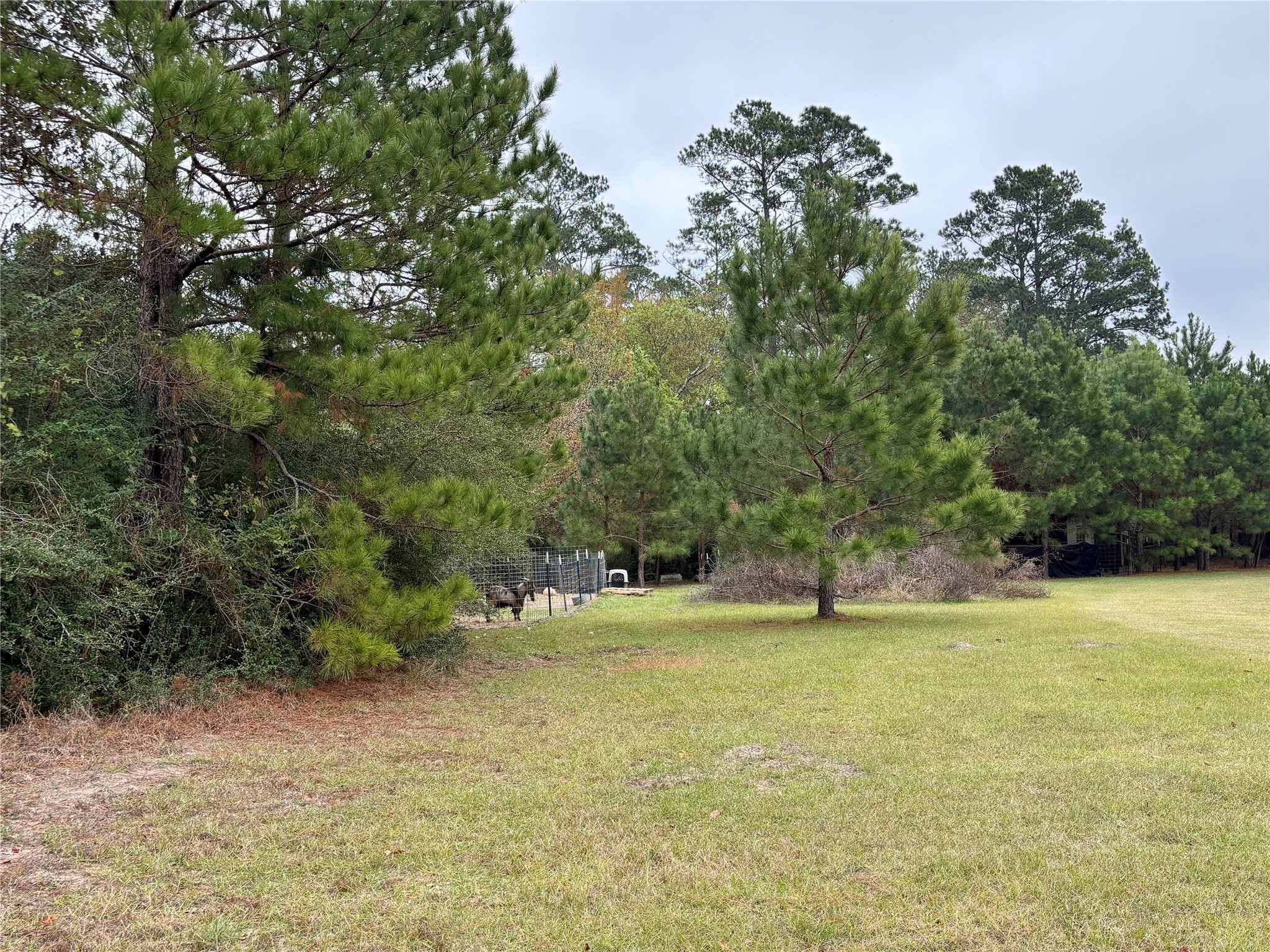 707 Bill Rasbeary Road Groveton, TX 75845 - Photo 7 of 48 a view of an ocean view