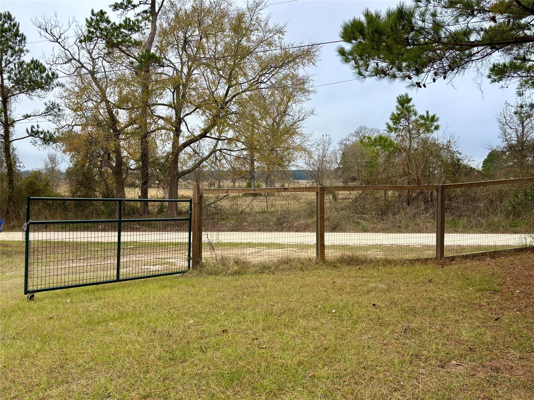 707 Bill Rasbeary Road Groveton, TX 75845 - Photo 8 of 48 a view of a backyard