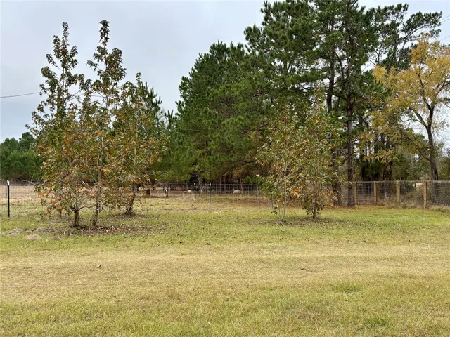 a view of outdoor space with trees all around
