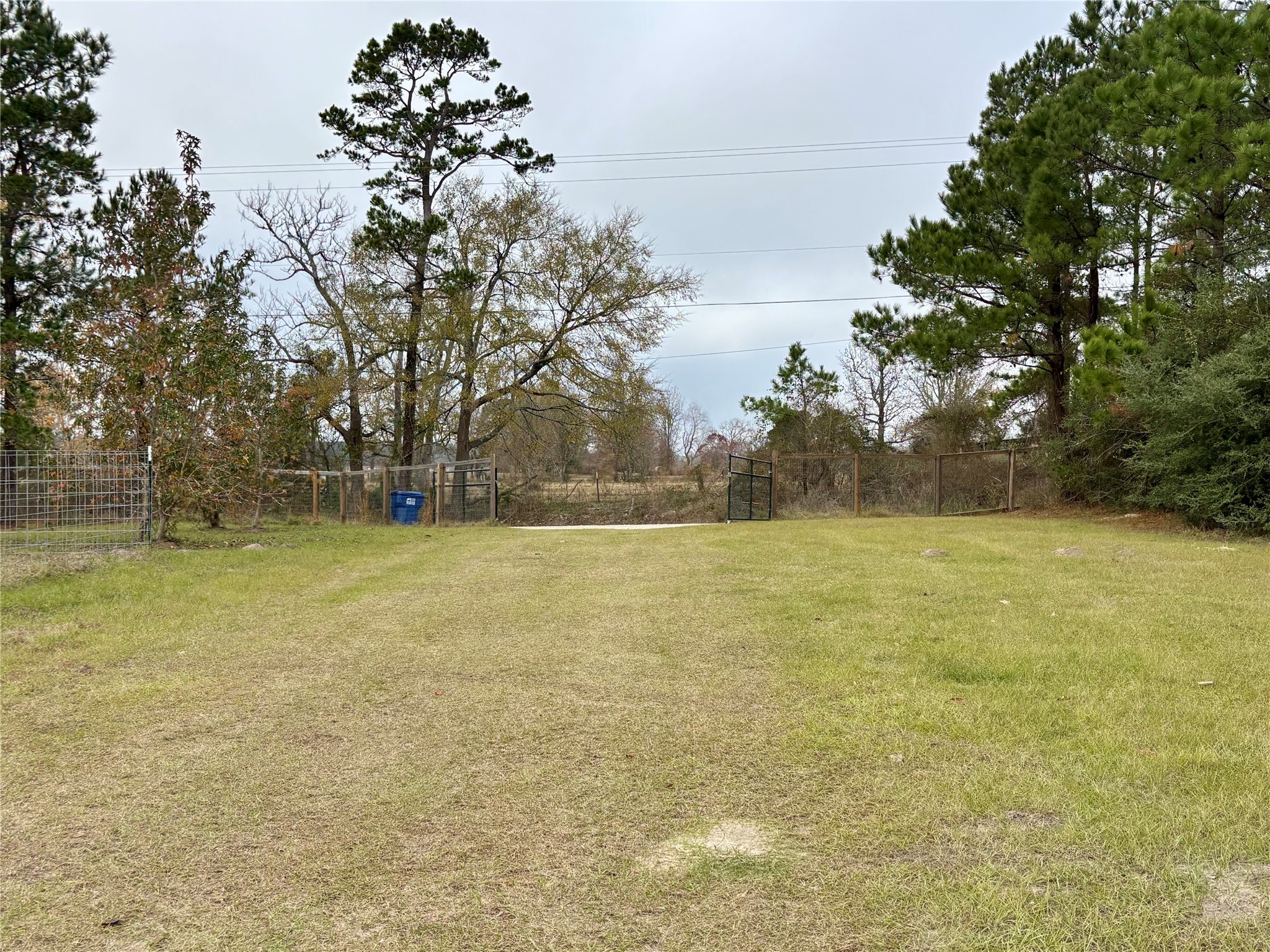 707 Bill Rasbeary Road Groveton, TX 75845 - Photo 10 of 48 a view of yard with swimming pool and green space