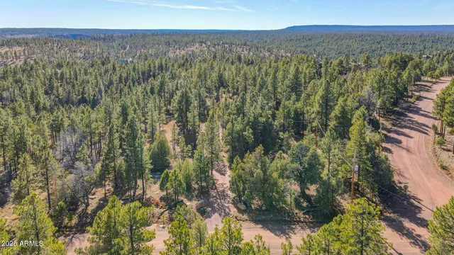 $744,900 | 900 Eagle View Drive, Happy Jack, AZ 86024