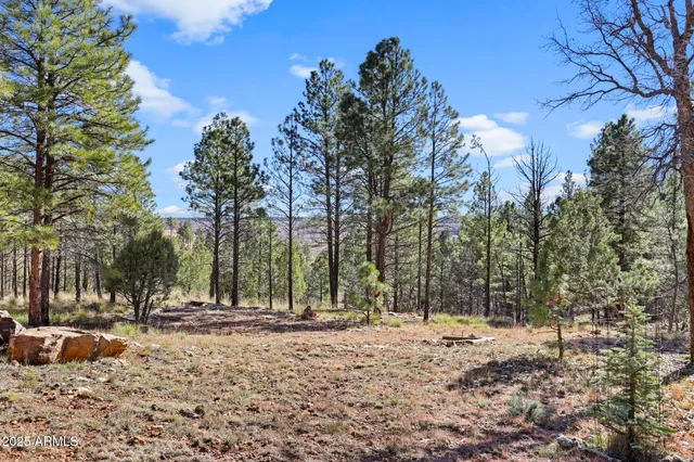 a view of road with trees
