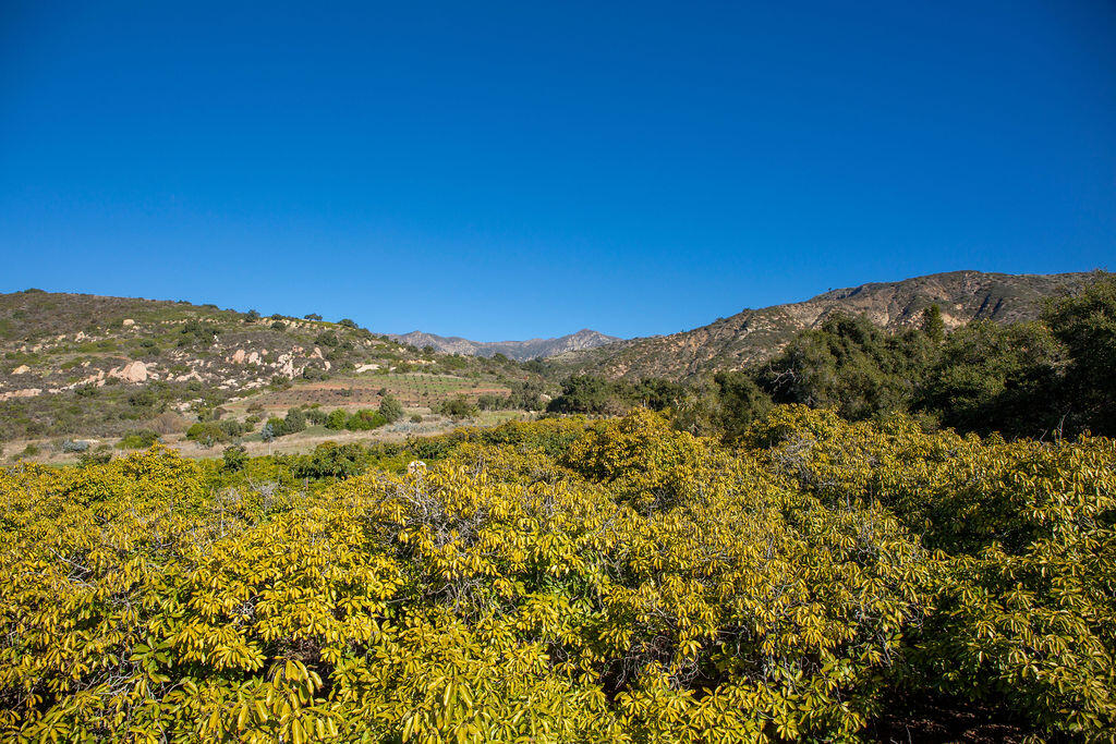 1835 Santa Monica Road Carpinteria, CA 93013 - Photo 5 of 31 a view of a sky
